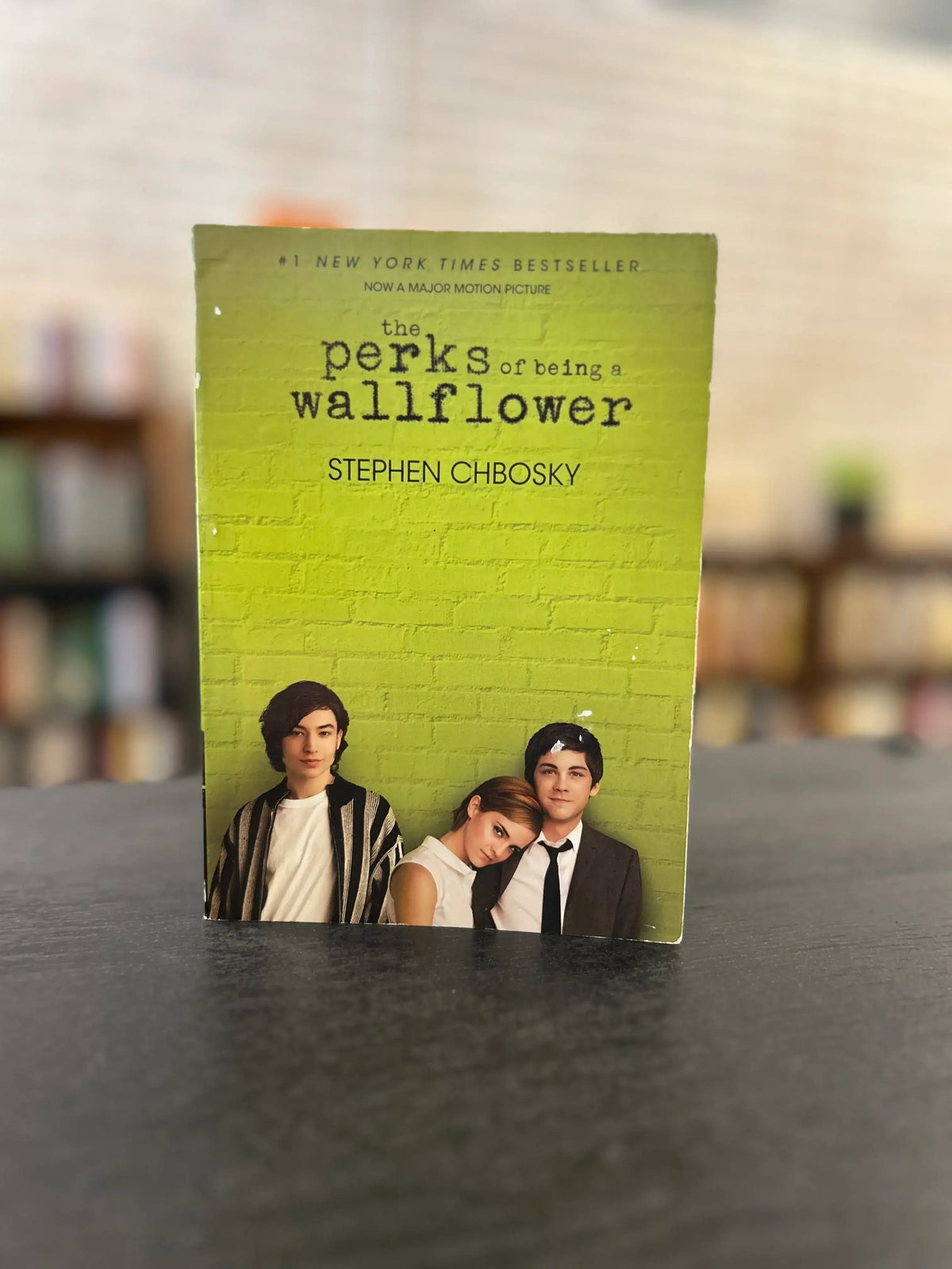 The Perks of Being a Wallflower - Stephen Chbosky