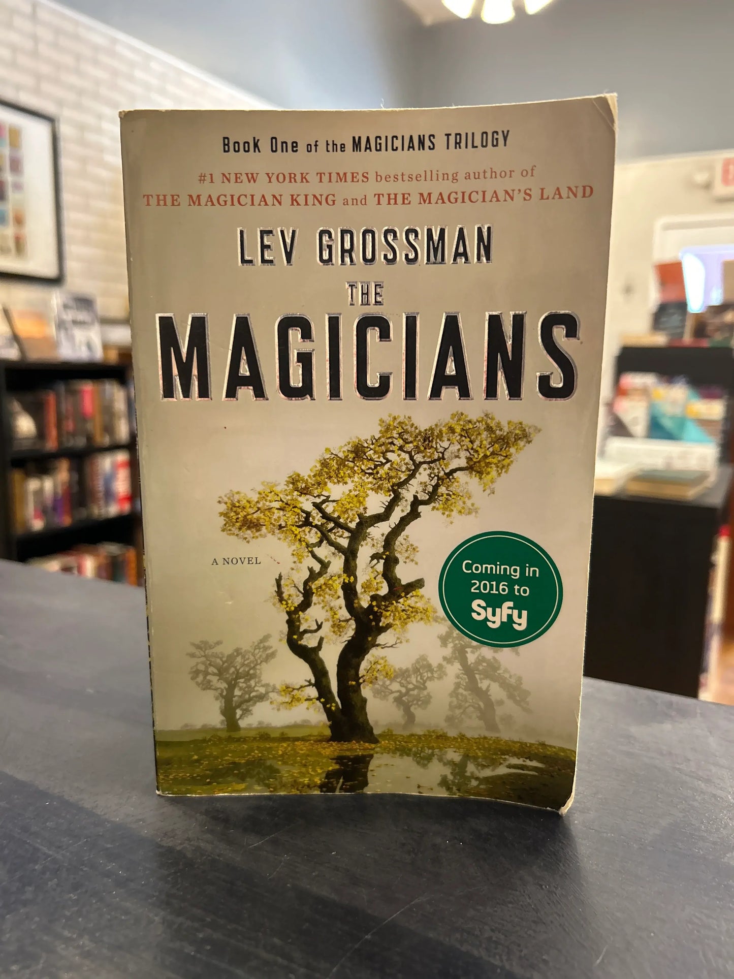 The Magicians - Lev Grossman