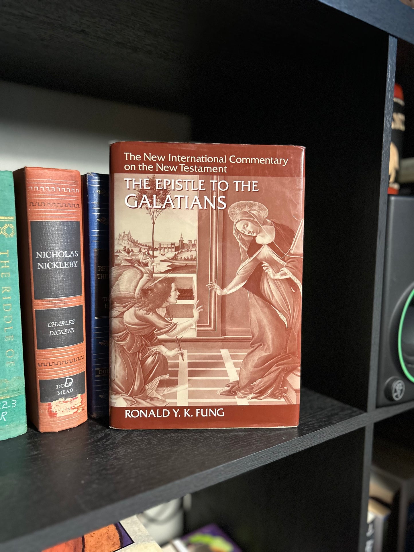The Epistle to the Galatians - Ronald Y.K. Fung - the new international commentary on the New Testament