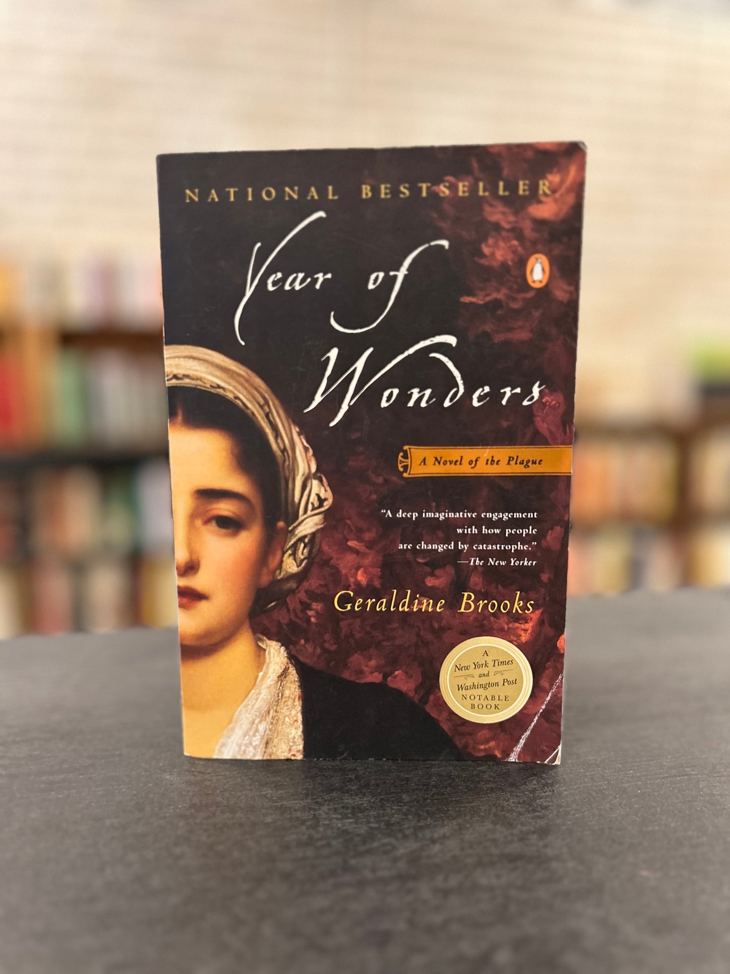 Year of Wonders - Geraldine Brooks