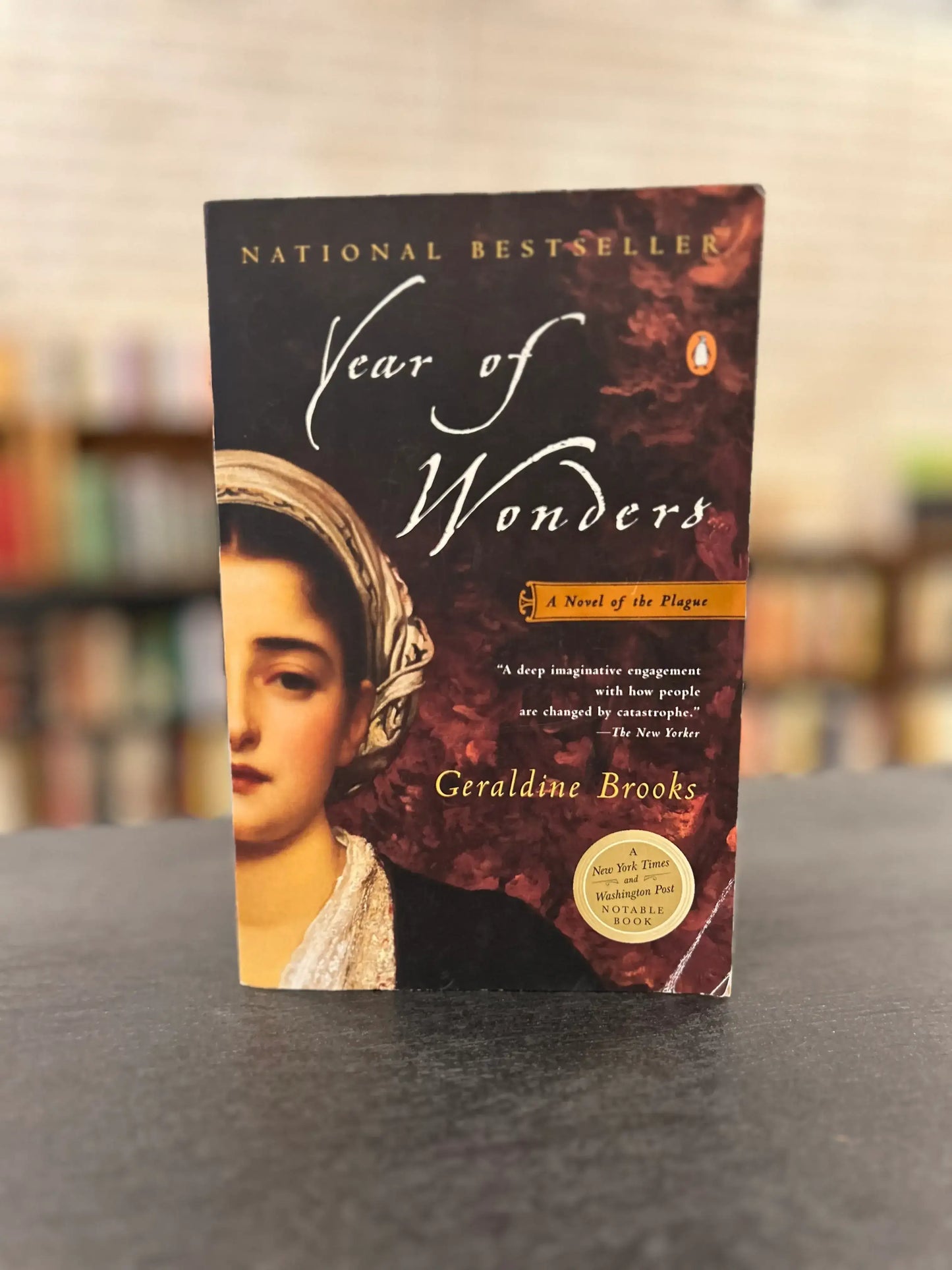 Year of Wonders - Geraldine Brooks