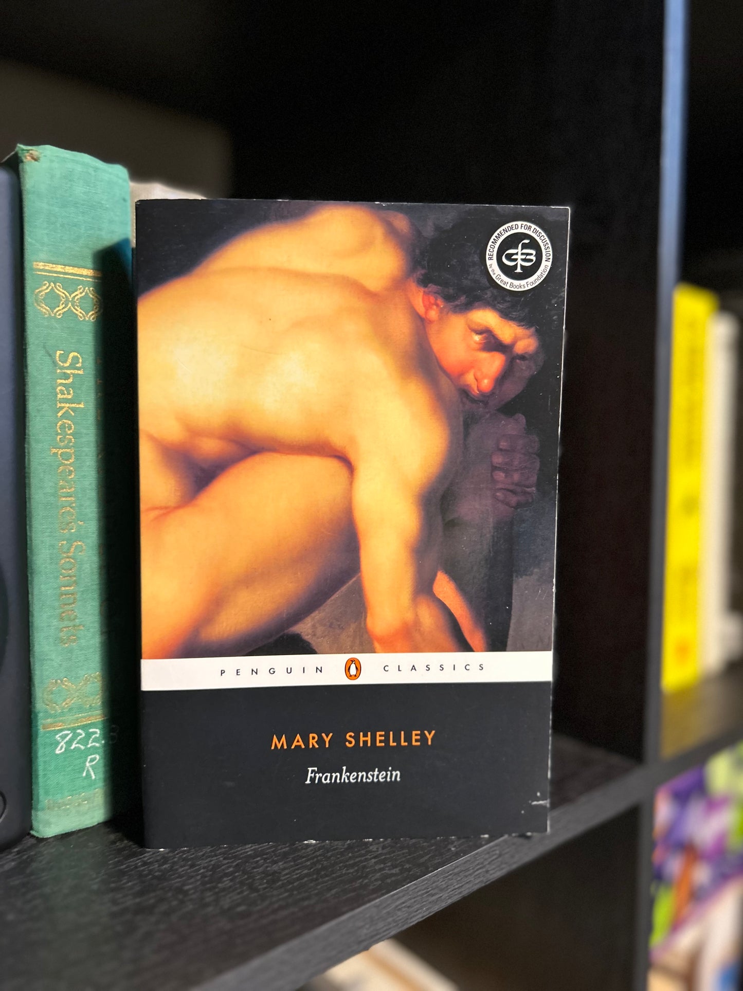 Frankenstein - Mary Shelley - pctp
