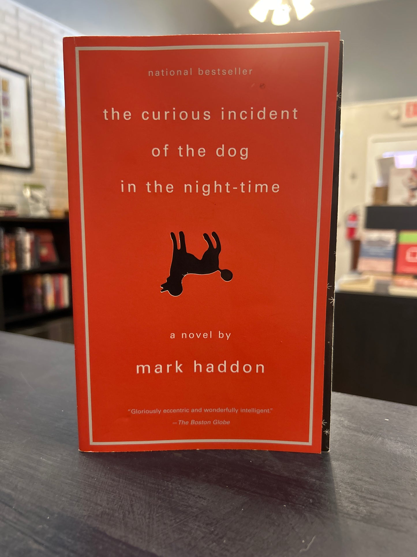 The Curious Incident of the Dog in the Night-Time - Mark Haddon