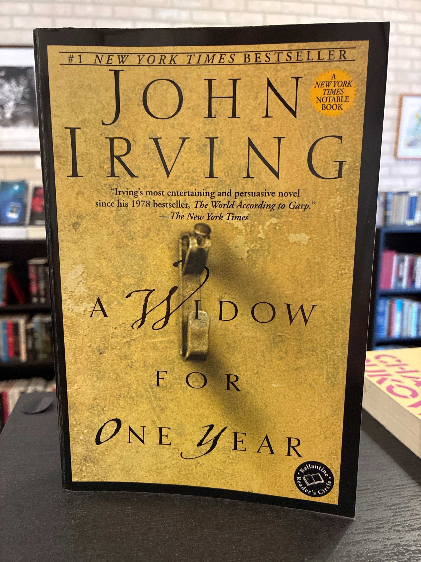 A Widow for One Year - John Irving