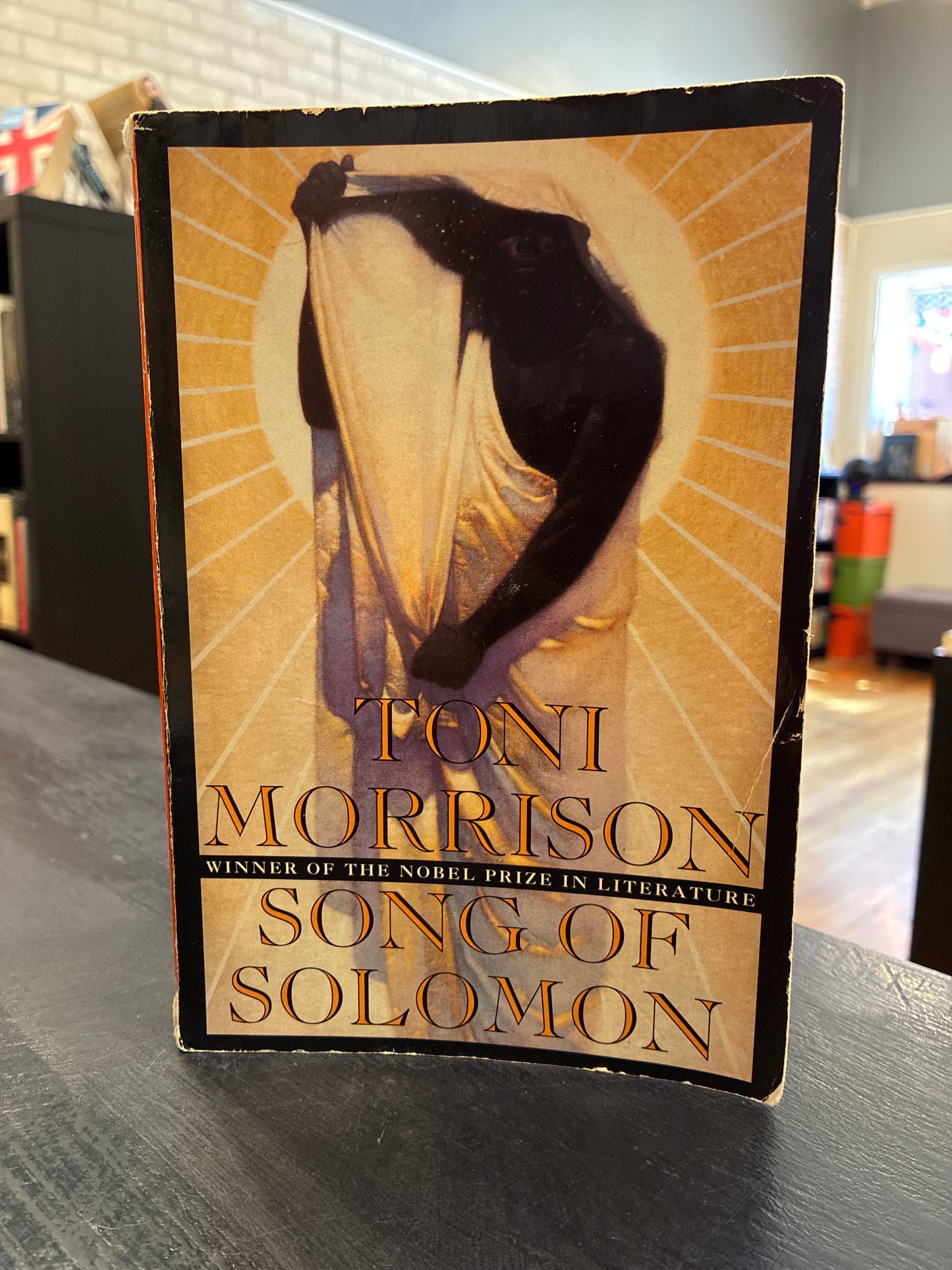 Song of Solomon - Toni Morrison - shop