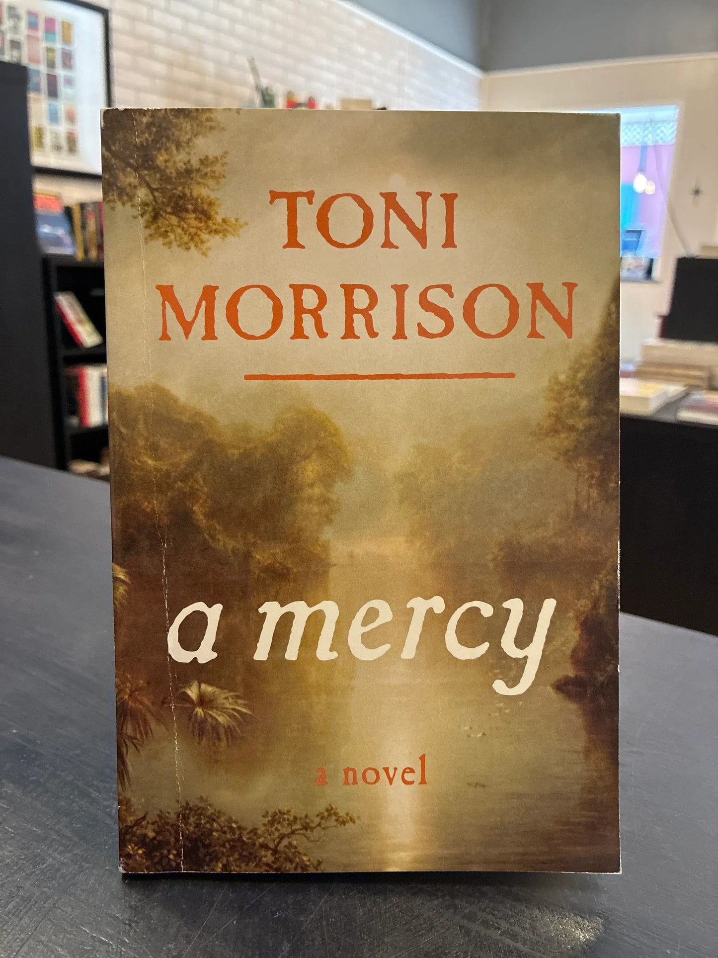 A Mercy - Toni Morrison