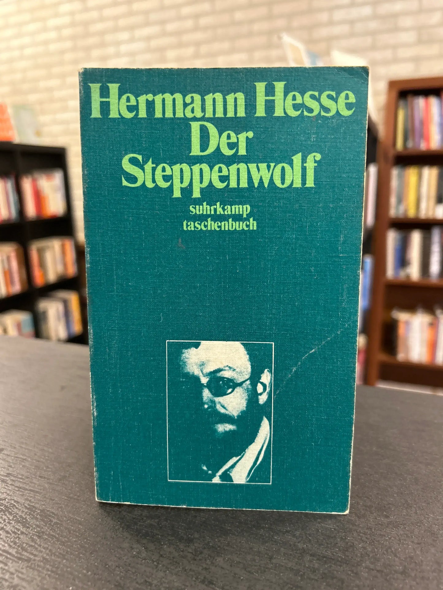 Der Steppenwolf - Hermann Hesse - in German