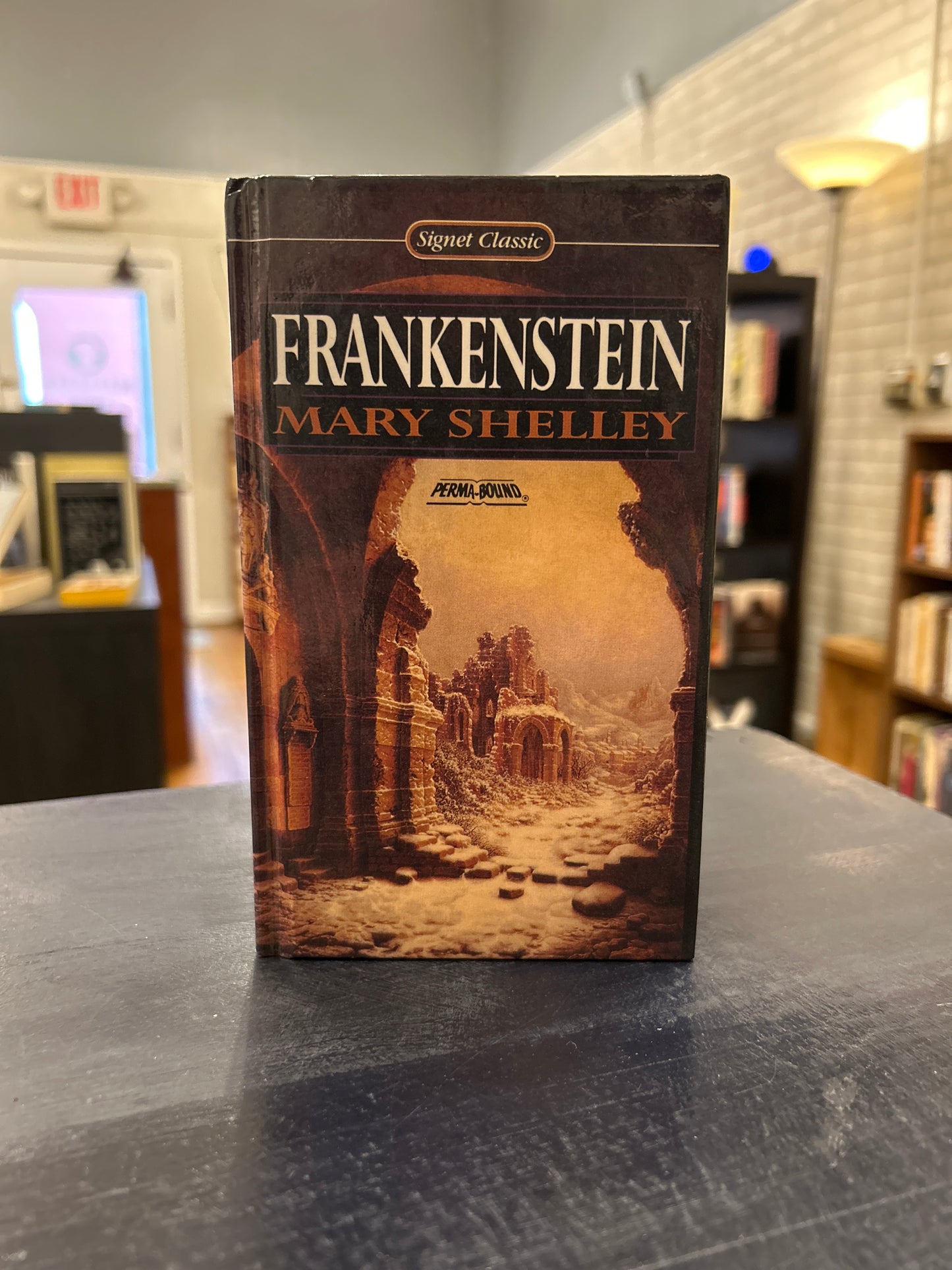 Frankenstein - Mary Shelley - school bound