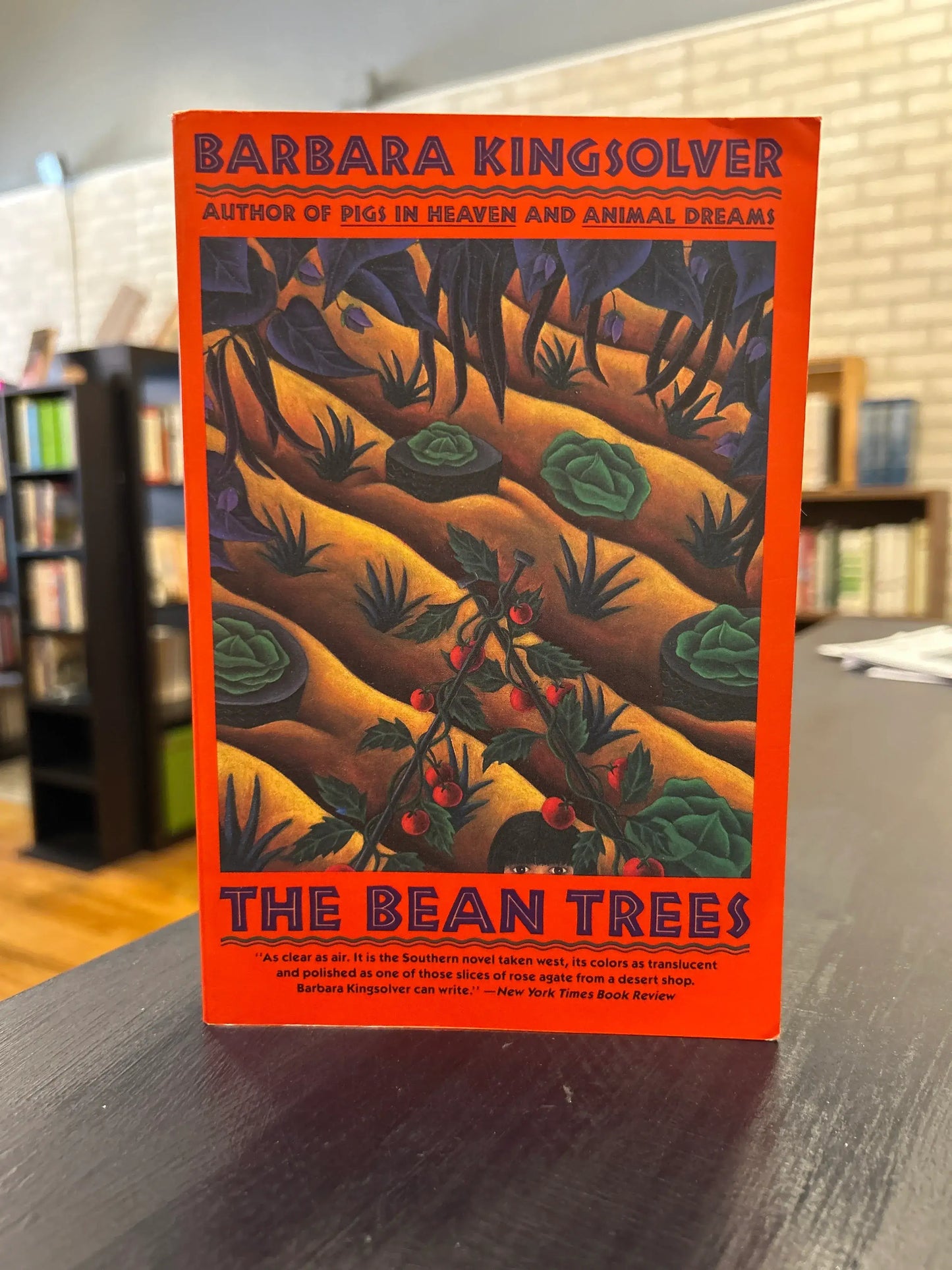 The Bean Trees- Barbara Kingsolver