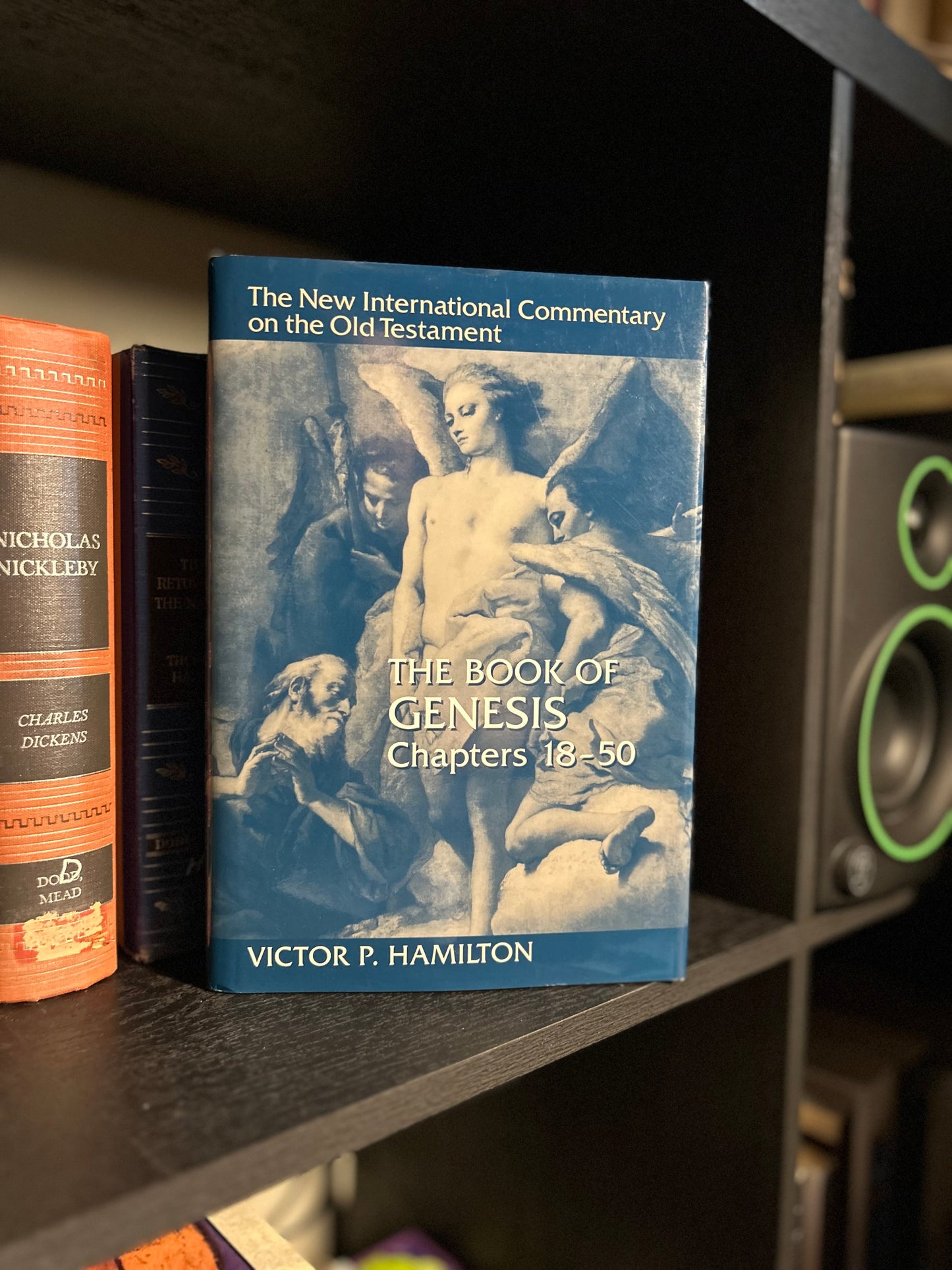 The Book of Genesis Chapters 18-50 - Victor P Hamilton - the new international commentary on the Old Testament