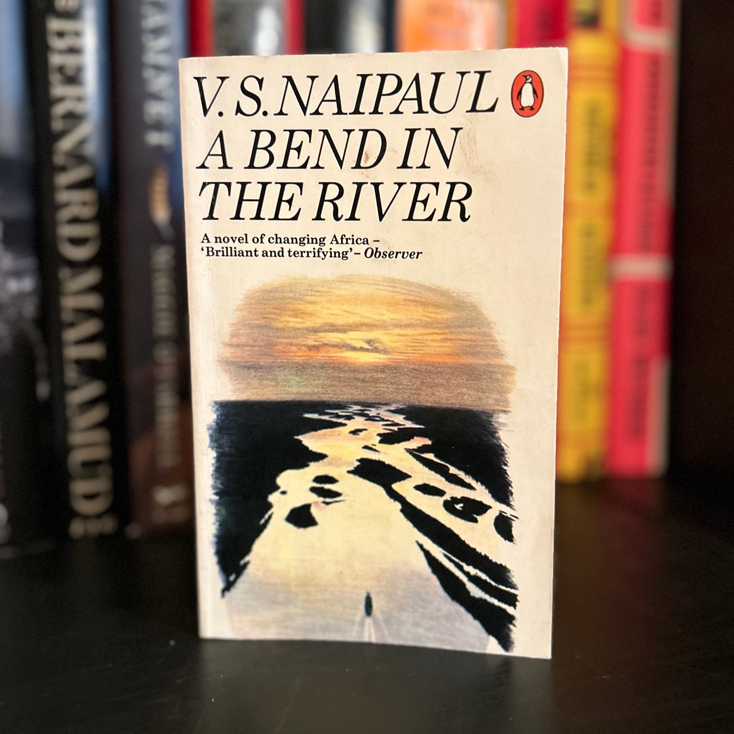 A Bend in the River - V.S. Naipaul - mm