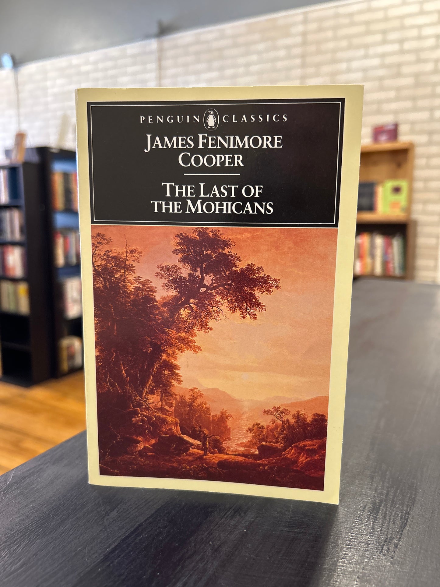 The Last of the Mohicans: by James Fenimore Cooper