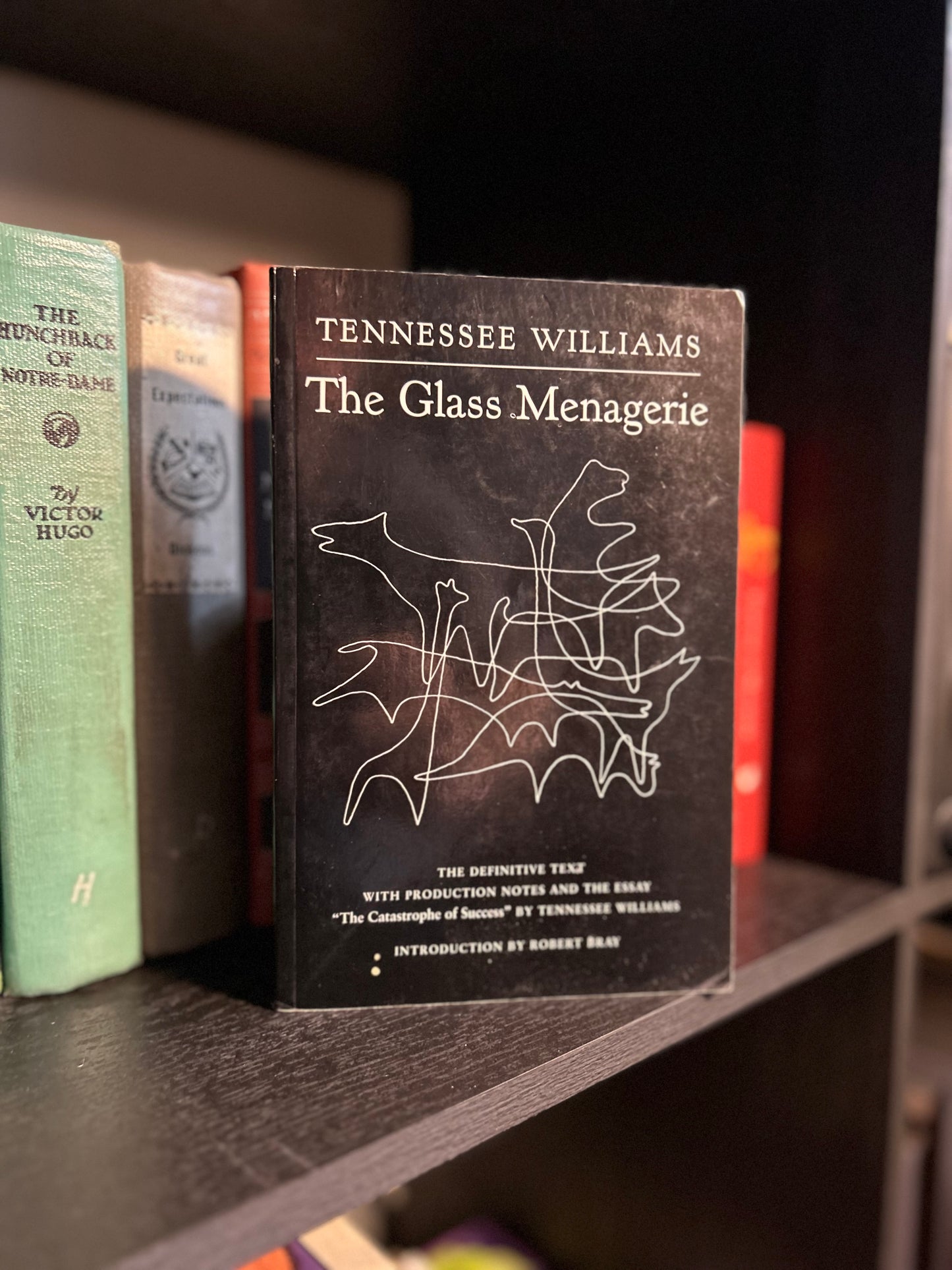 The Glass Menagerie - Tennessee Williams -black