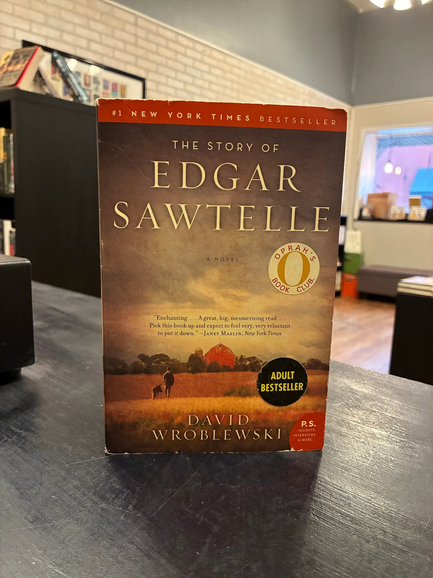 The Story of Edgar Sawtelle - David Wroblewski - TP