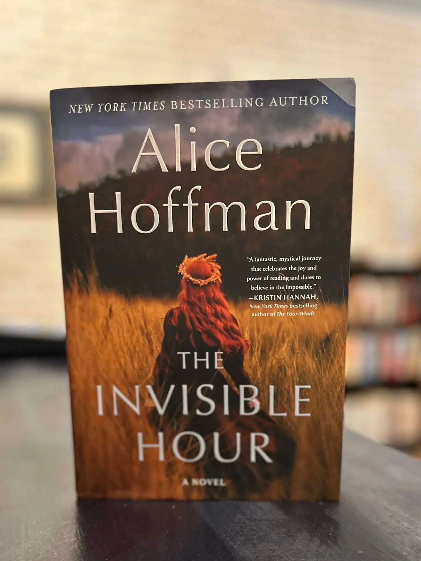 The Invisible Hour - Alice Hoffman