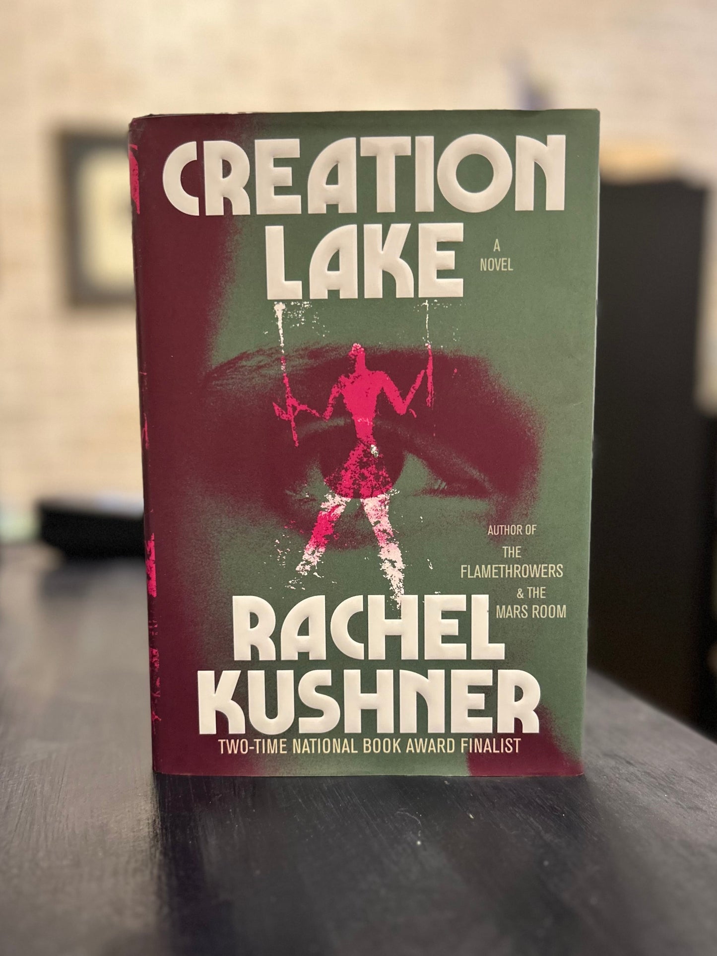 Creation Lake - Rachel Kushner