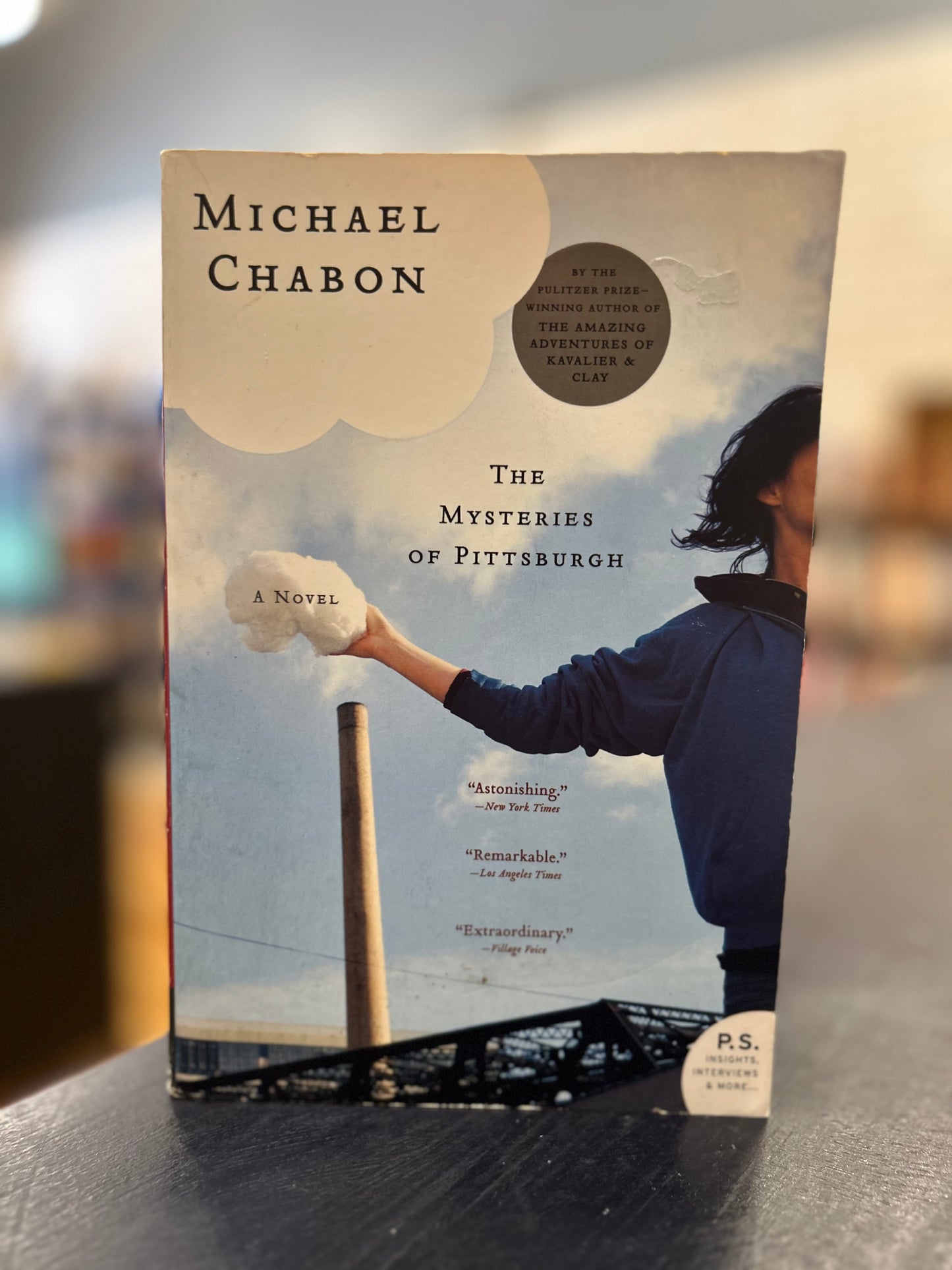 The Mysteries of Pittsburgh - Michael Chabon