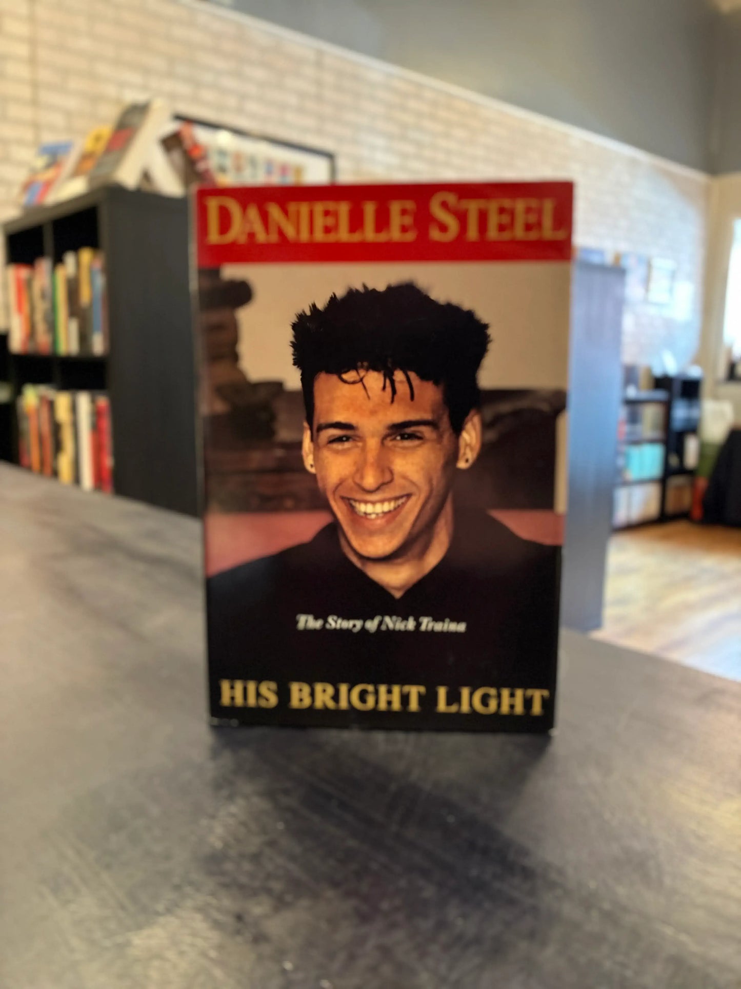 His Bright Light - Danielle Steel