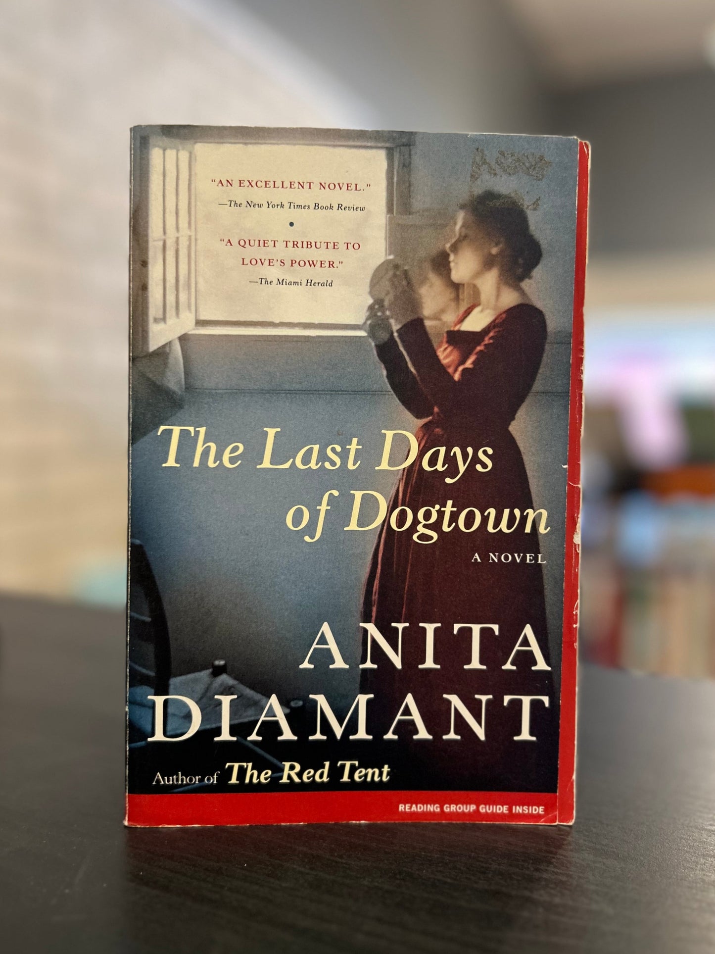 The Last Days of Dogtown by Anita Diamant