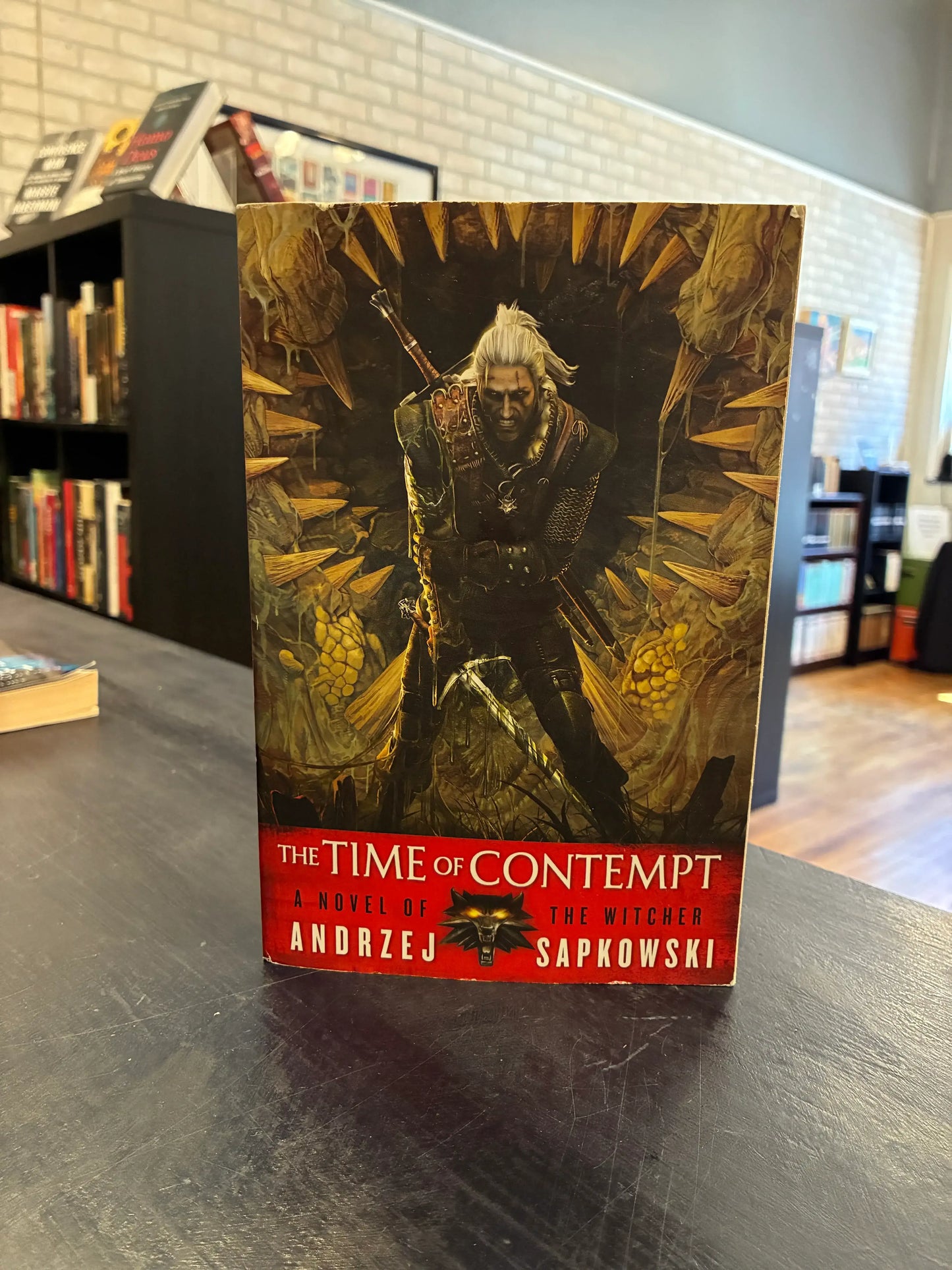 The Time of Contempt - Andrzej Sapkowski