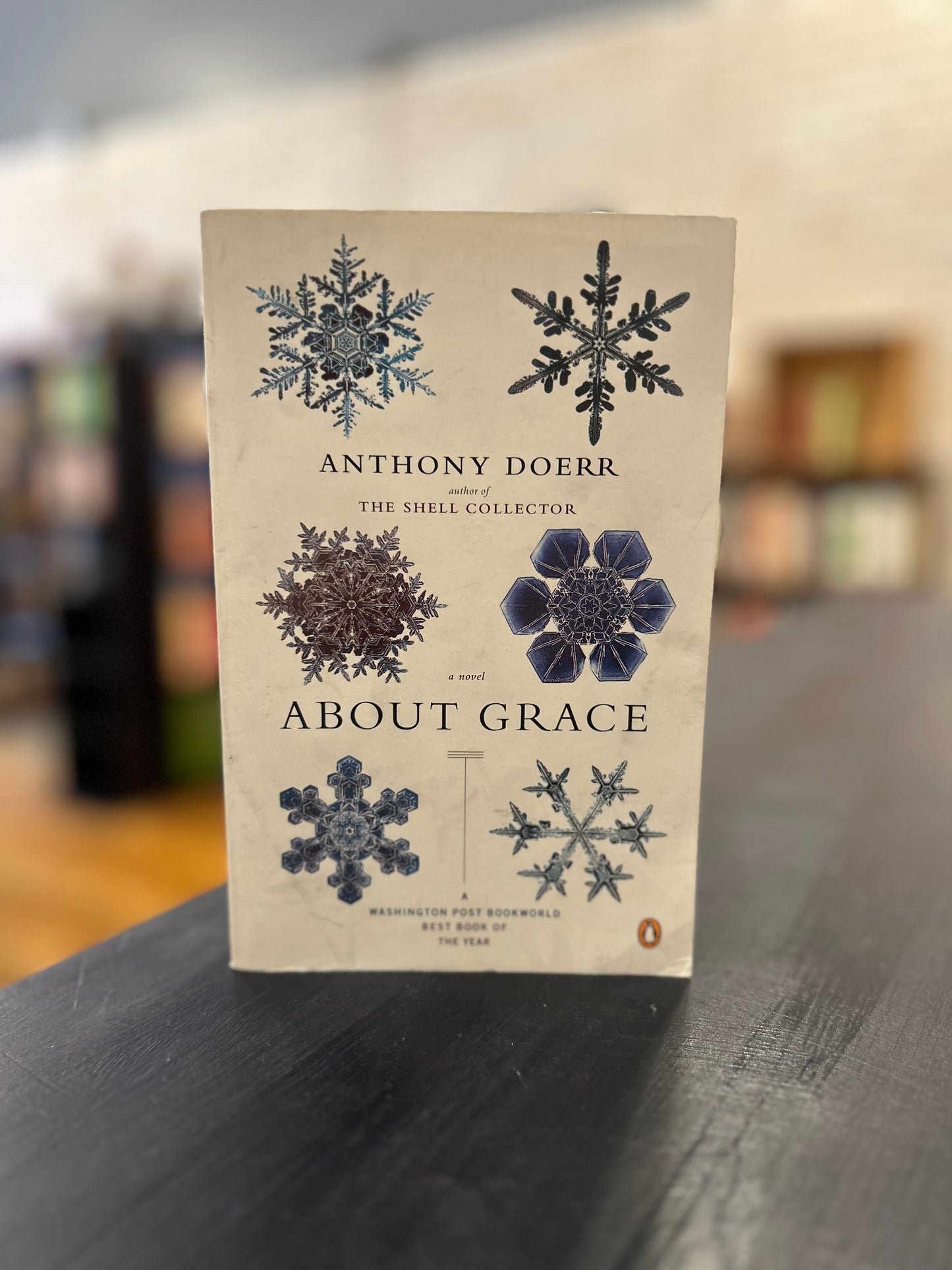 About Grace - Anthony Doerr