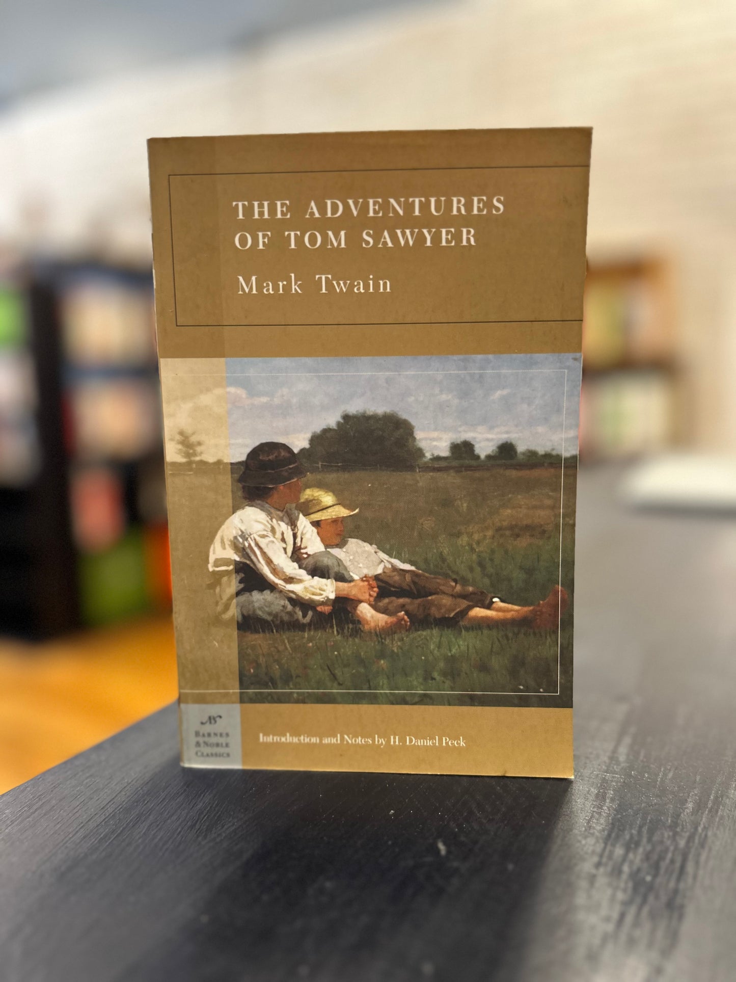 The Adventures of Tom Sawyer - Mark Twain