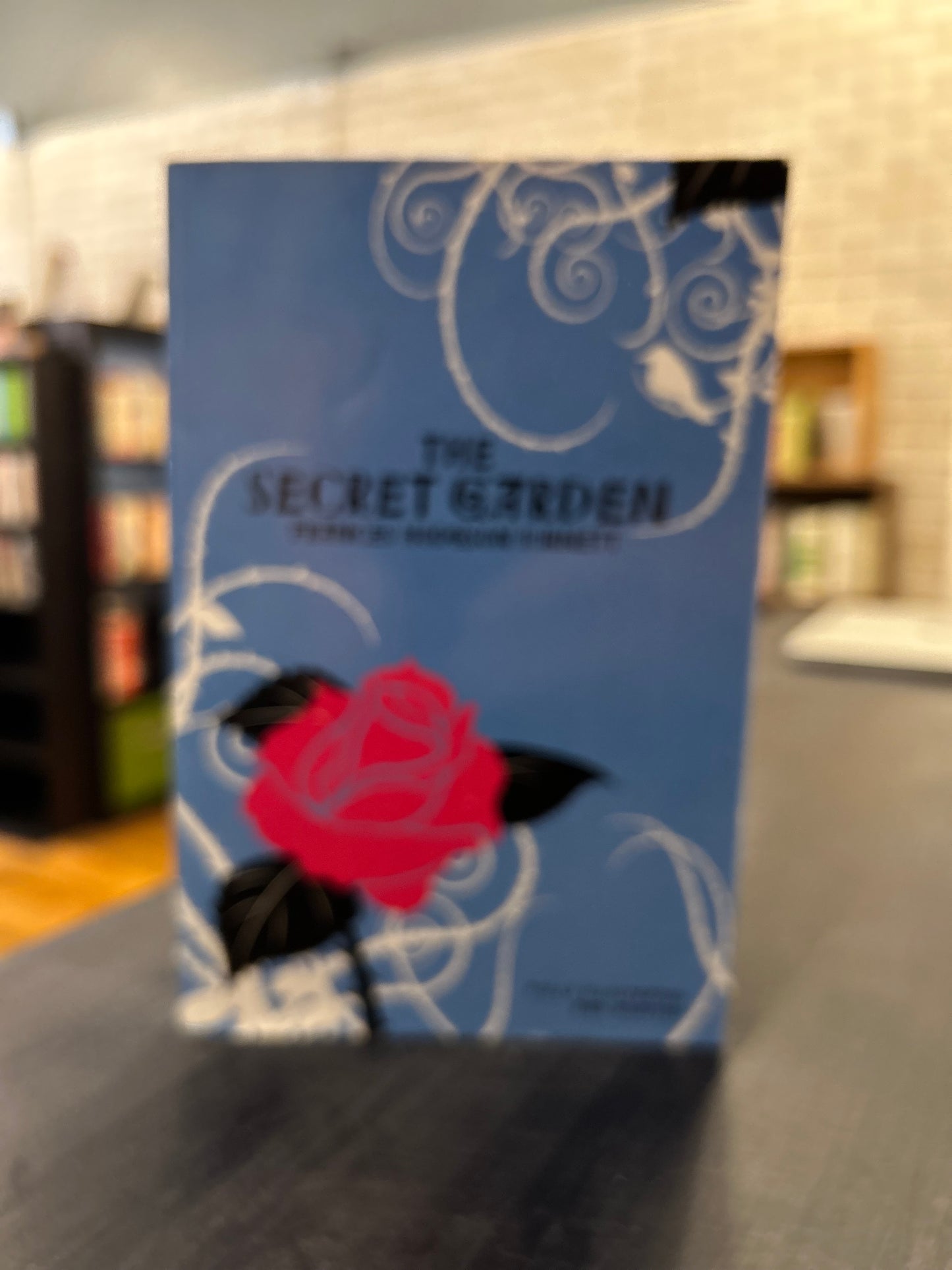 The Secret Garden - Frances Hodgson Burnett - kids version