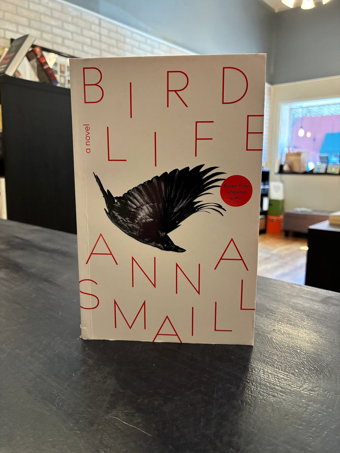 Bird Life - Anna Smaill