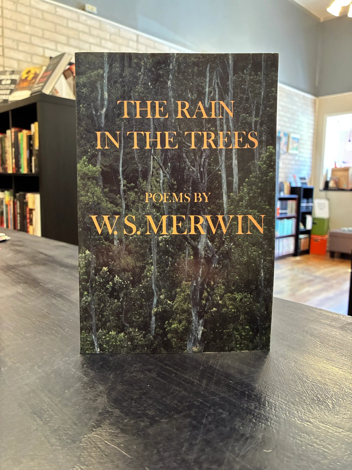 The Rain in the Trees - W.S. Merwin