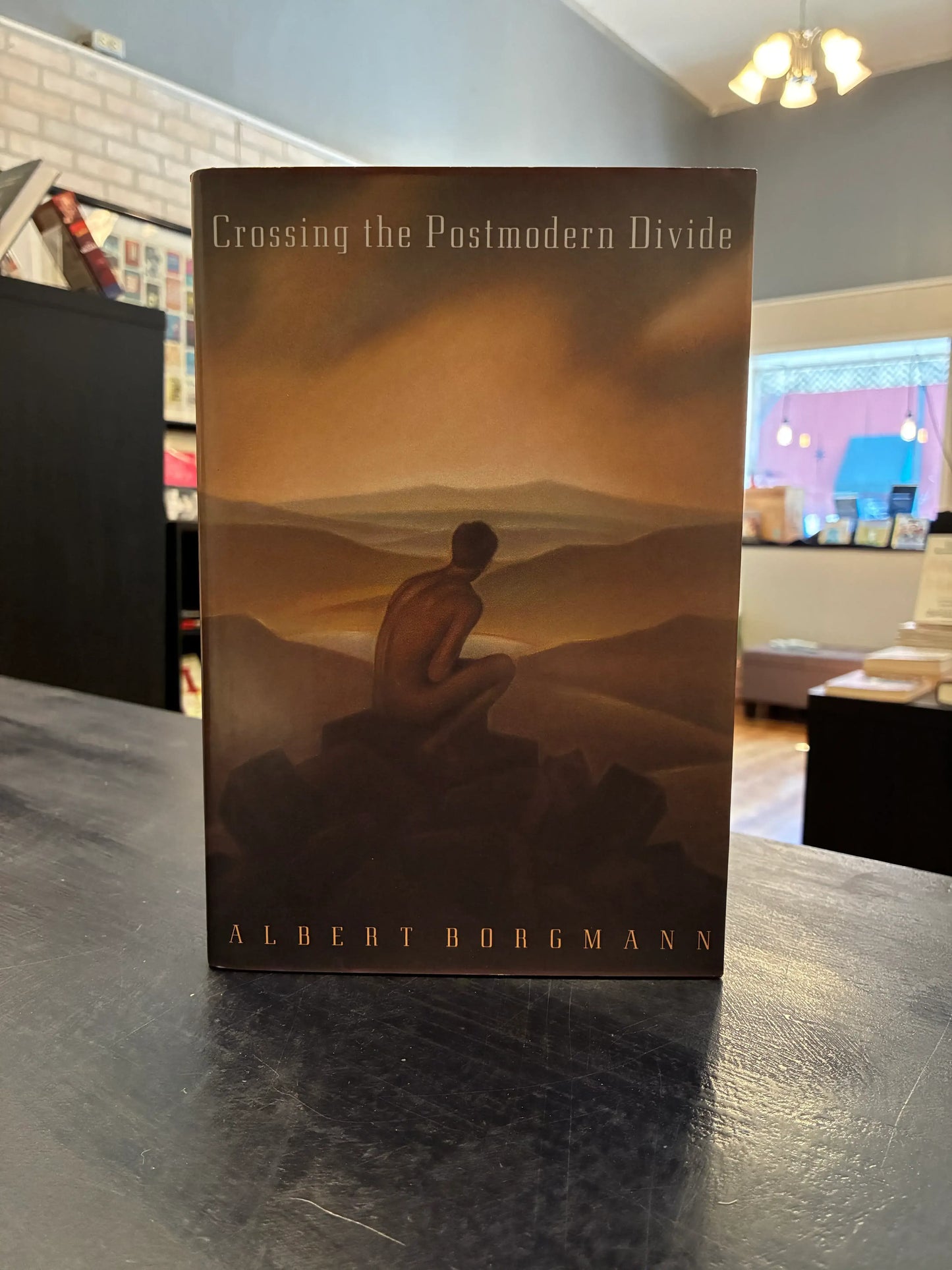 Crossing the Postmodern Divide - Albert Borgmann
