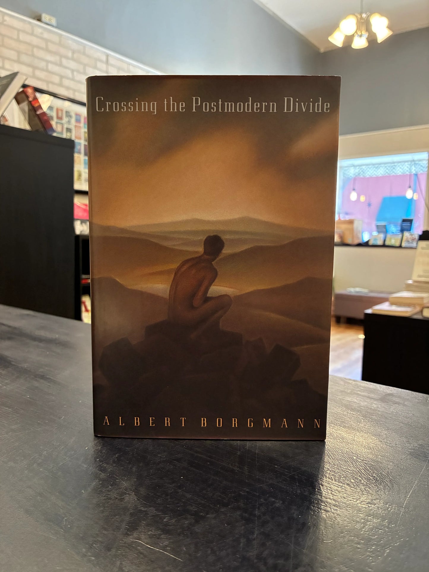 Crossing the Postmodern Divide - Albert Borgmann