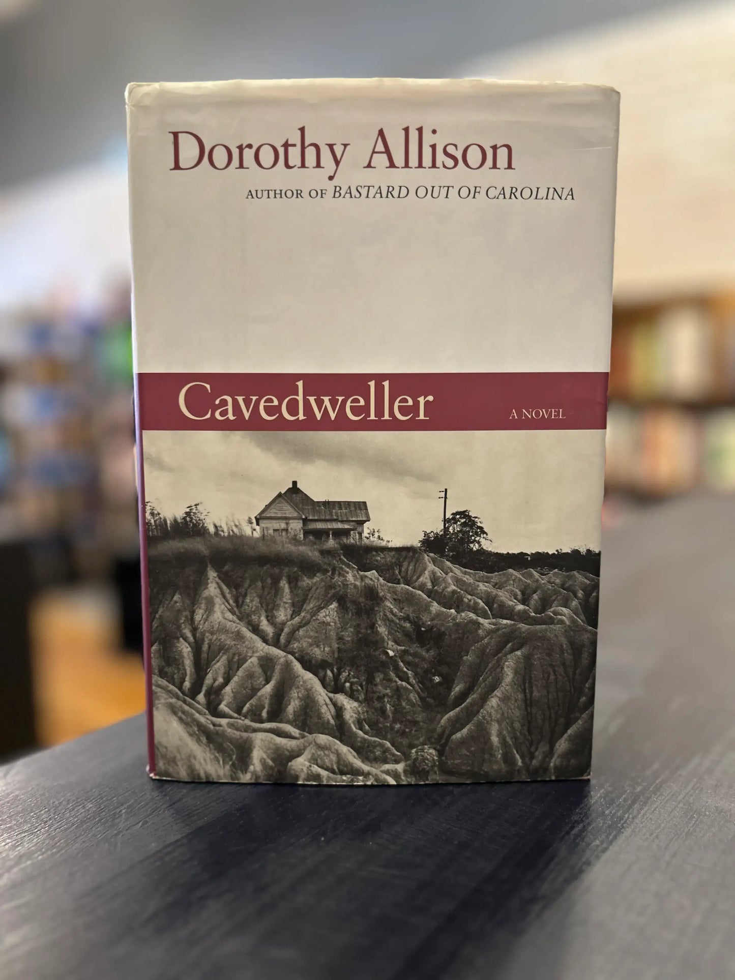 Cavedweller- Dorothy Allison