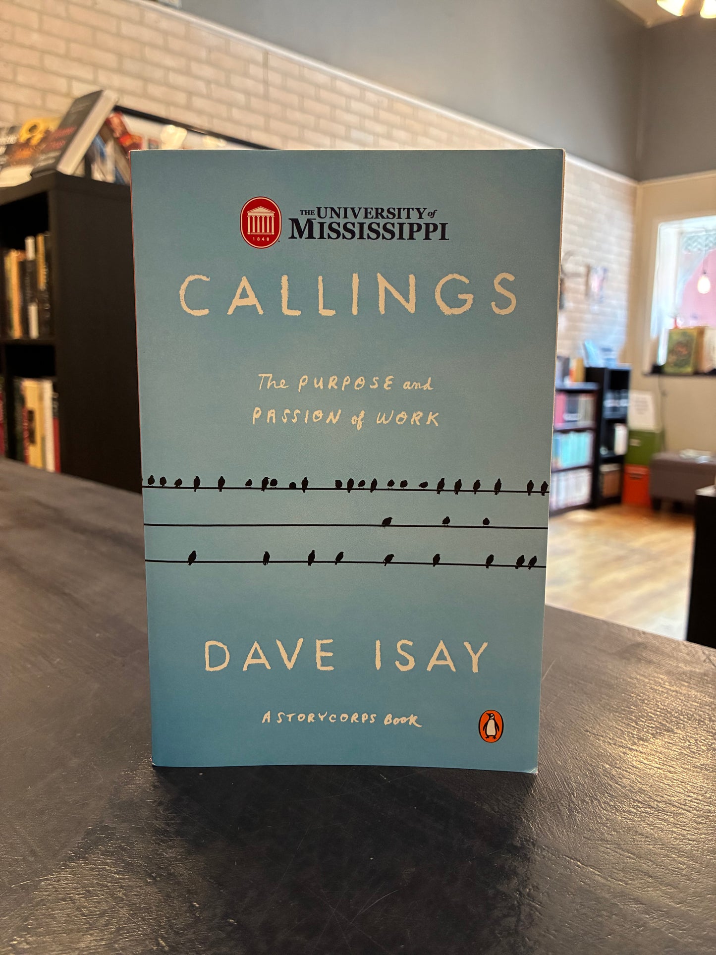 Callings - Dave Isay