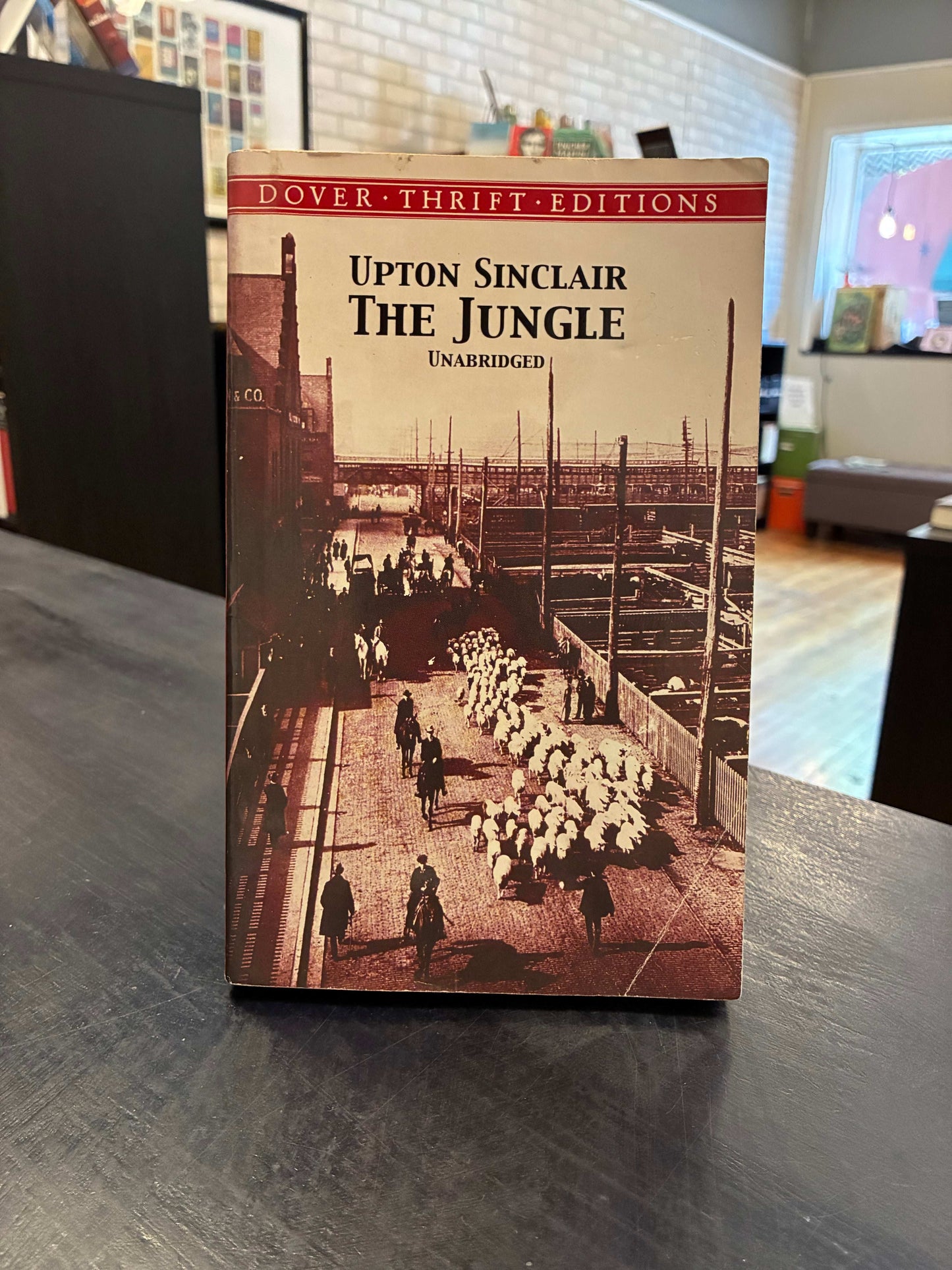 The Jungle - Upton Sinclair - Dover