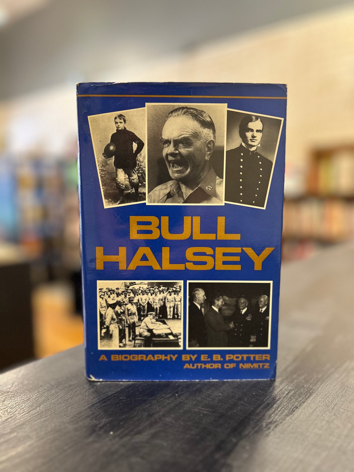 Bull Halsey by E.B. Potter