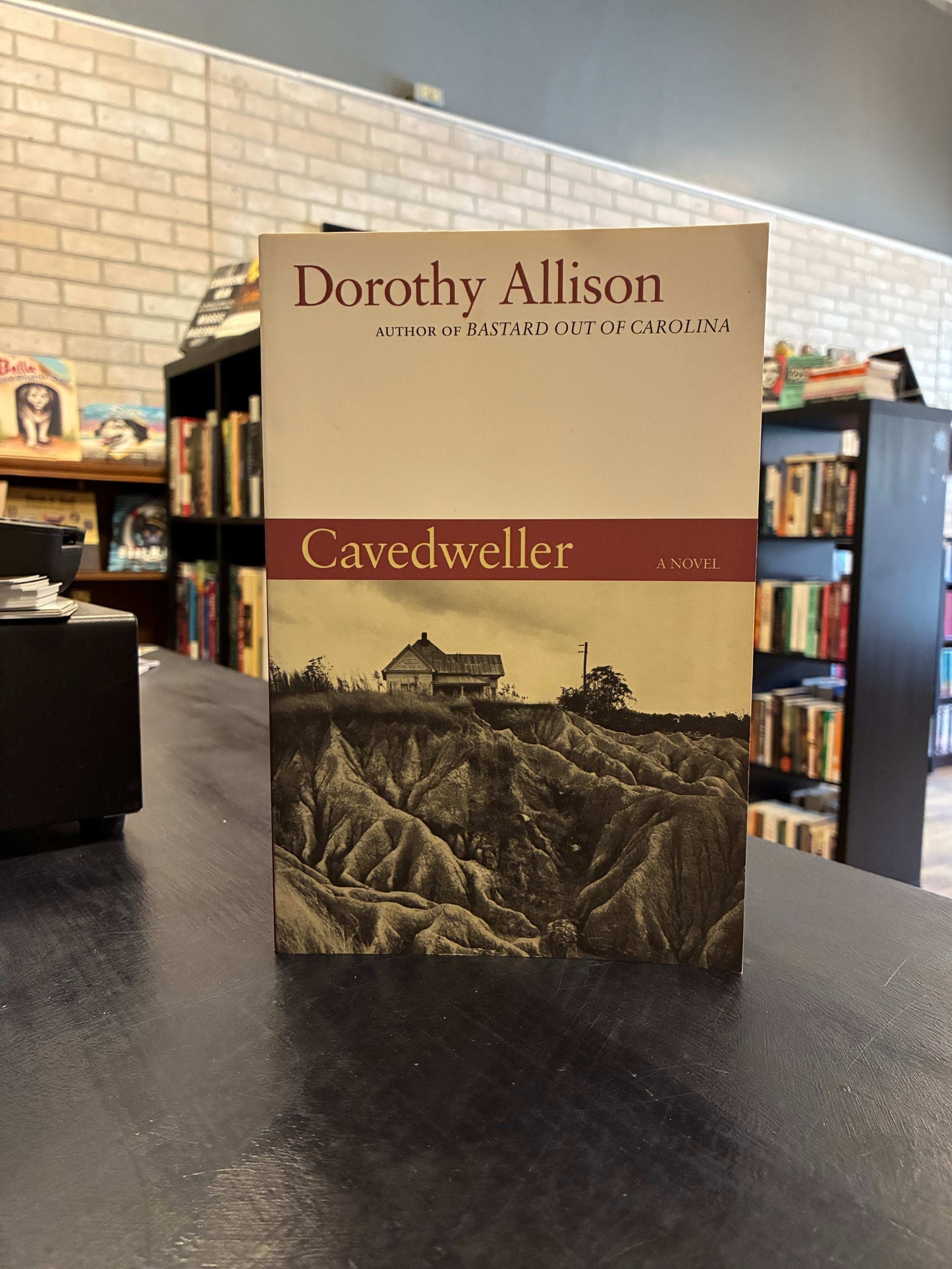 Cavedweller - Dorothy Allison