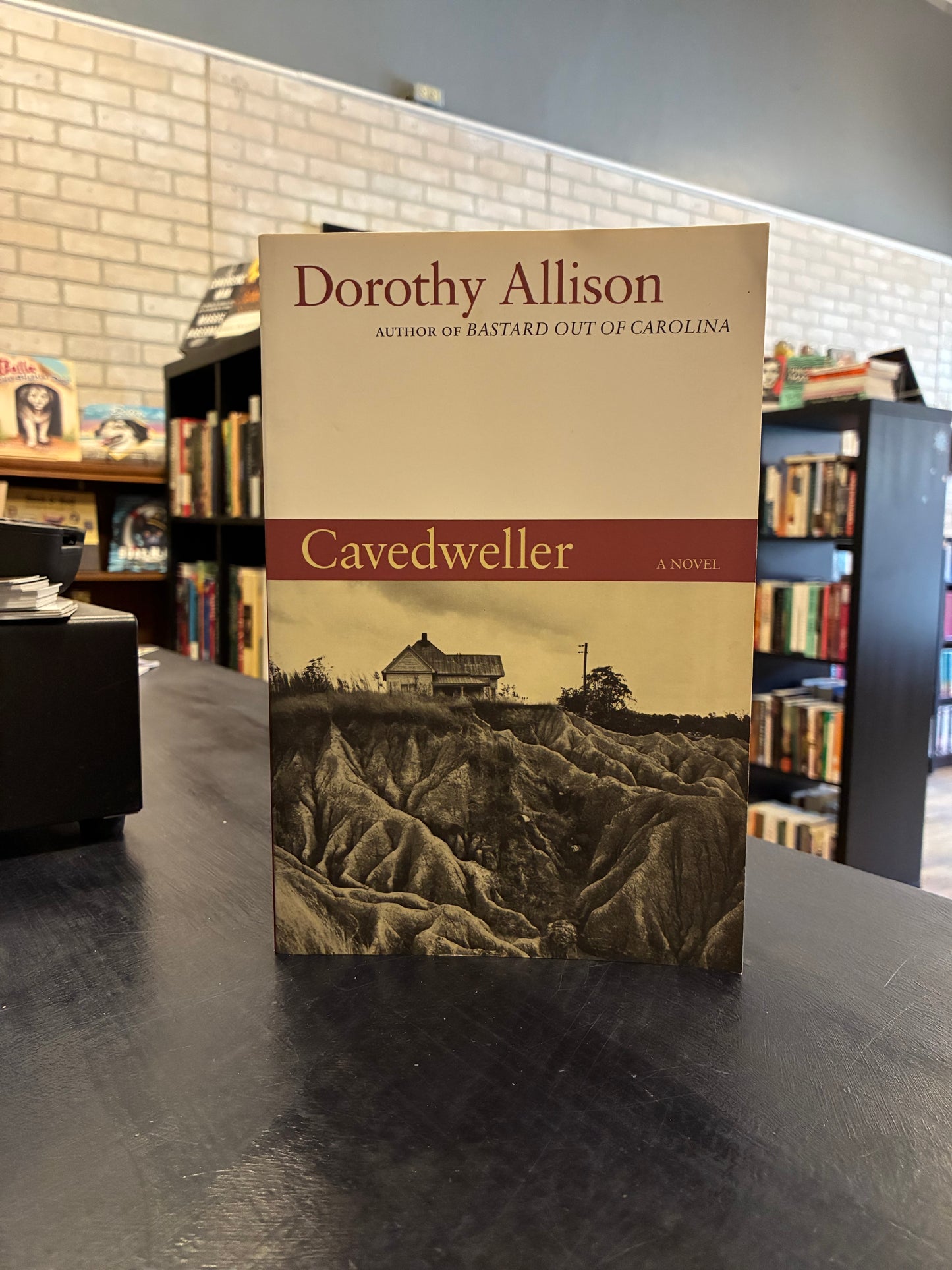 Cavedweller - Dorothy Allison
