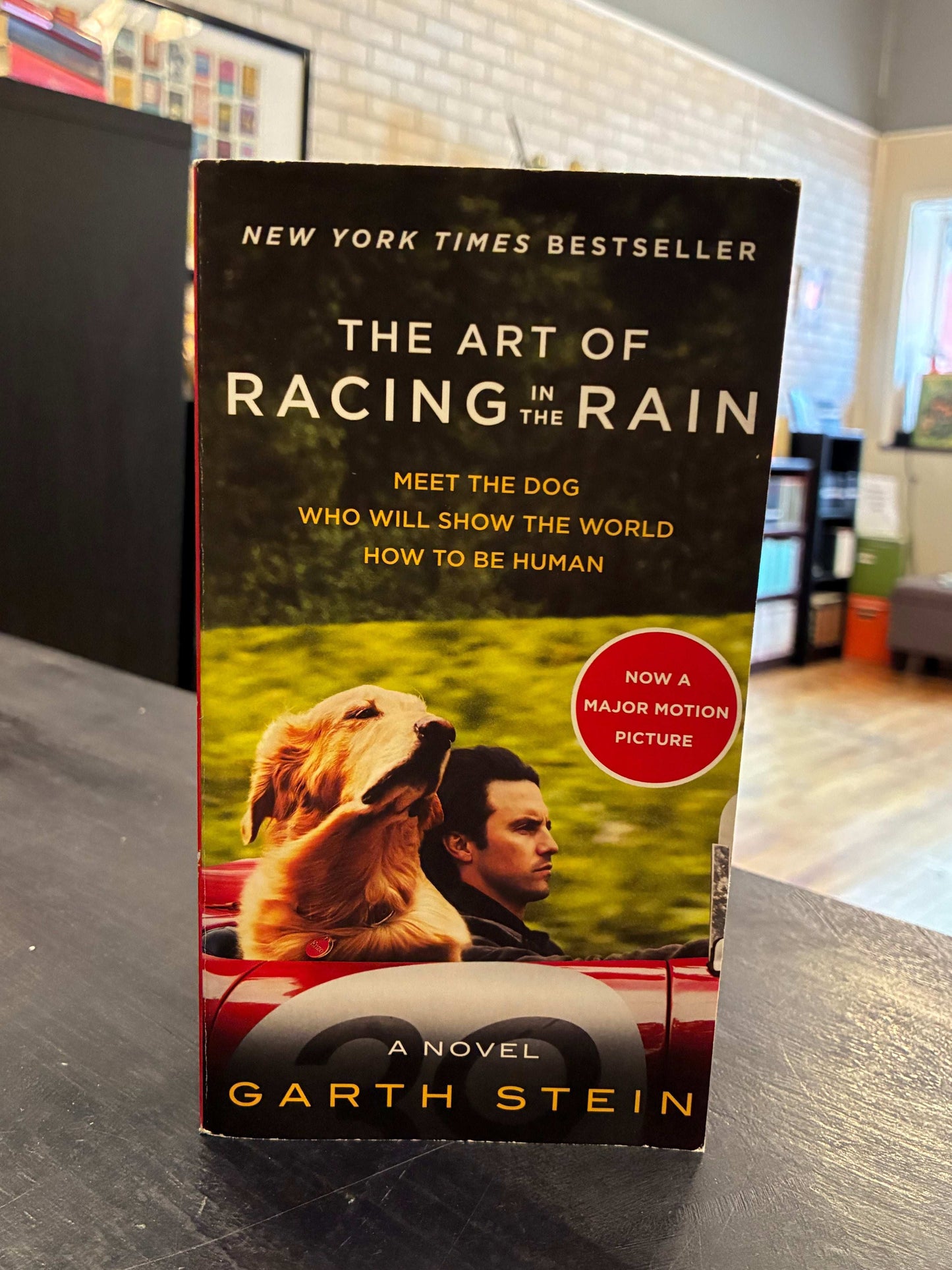 The Art of Racing in the Rain by Garth Stein - MM