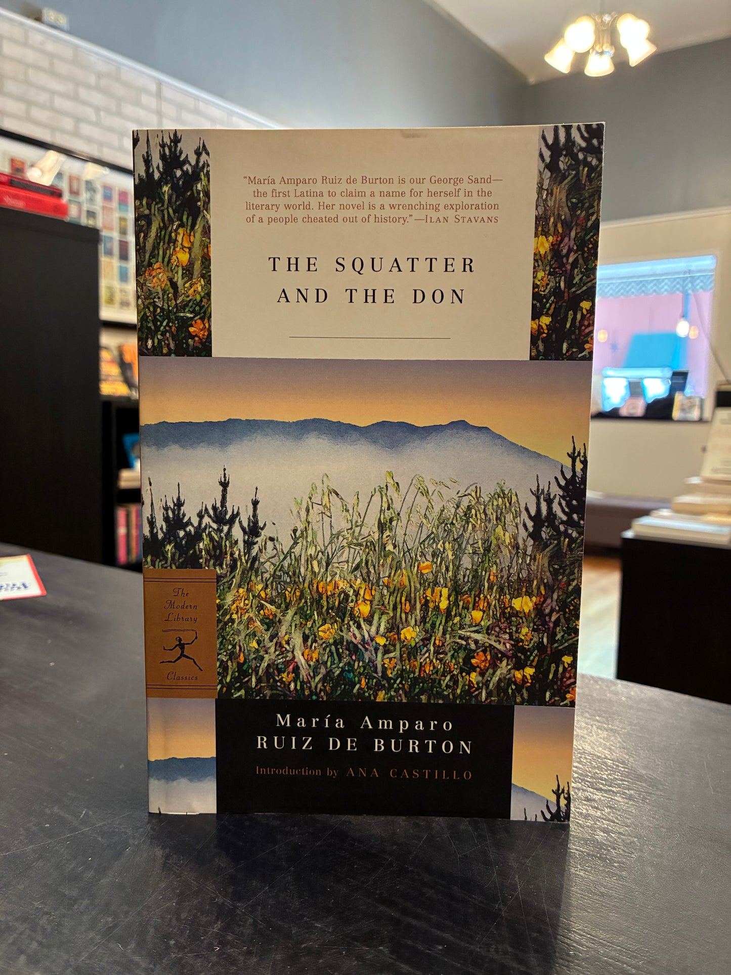 The Squatter and the Don - María Ruiz de Burton