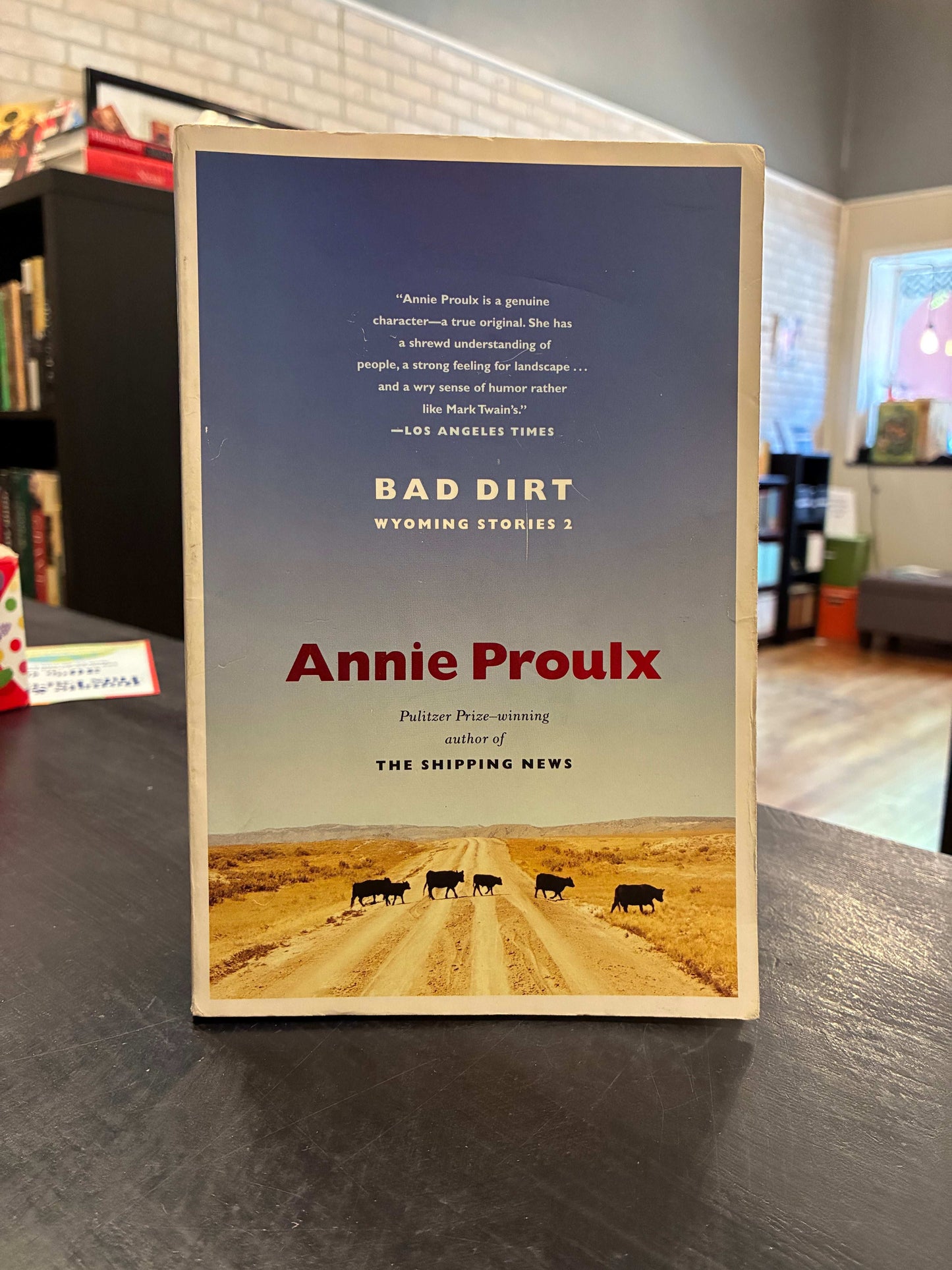Bad Dirt - Annie Proulx