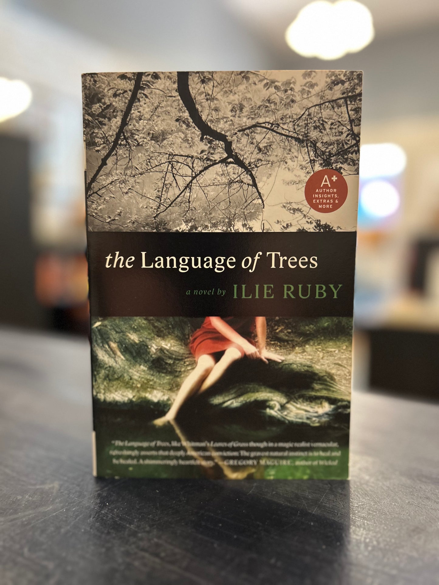 The Language of Trees - Ilie Ruby