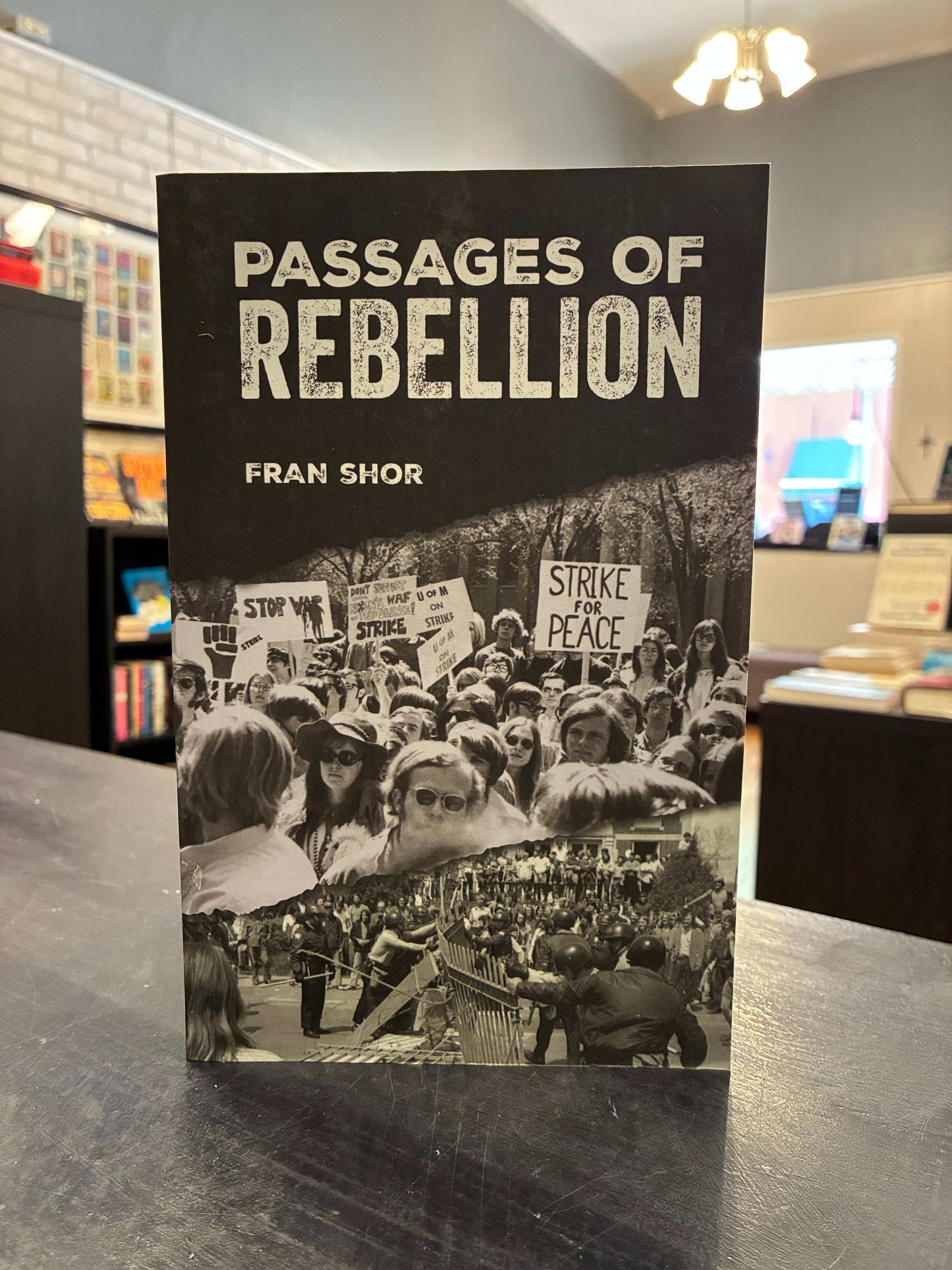 Passages of Rebellion - Fran Shor