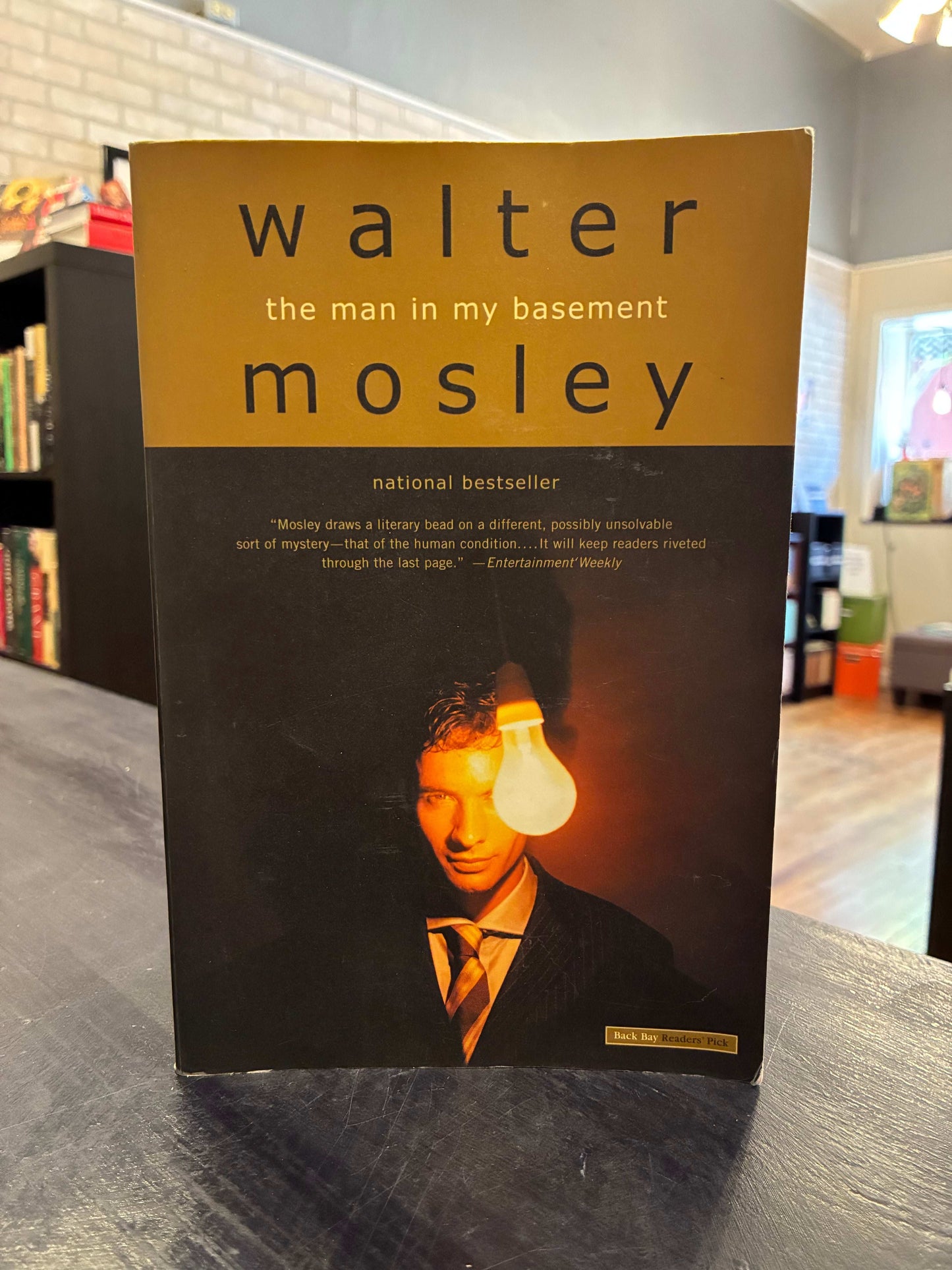 The Man in My Basement - Walter Mosley