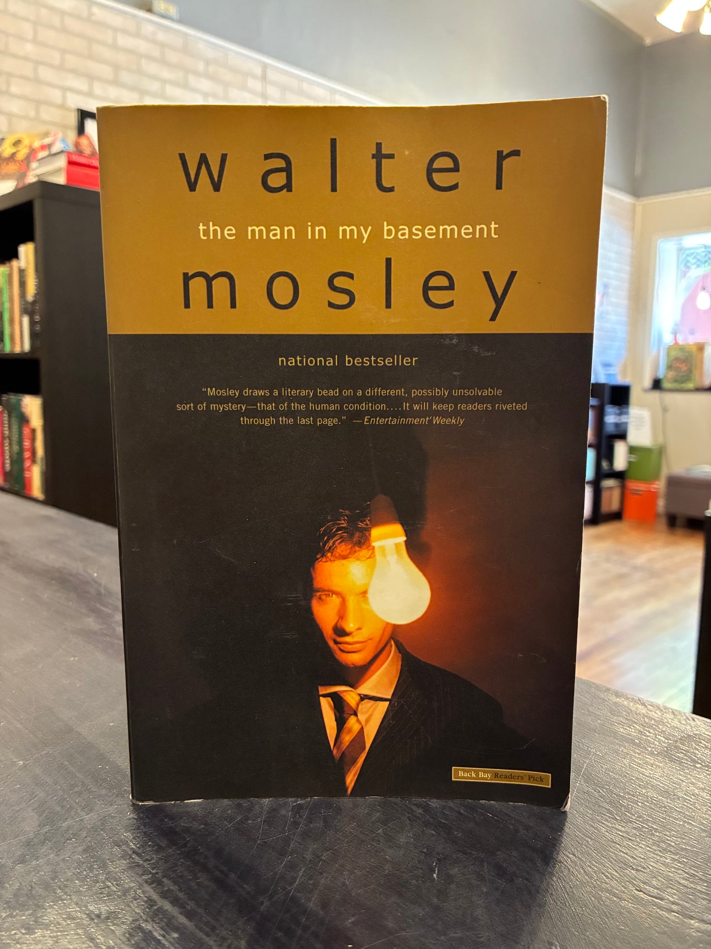 The Man in My Basement - Walter Mosley