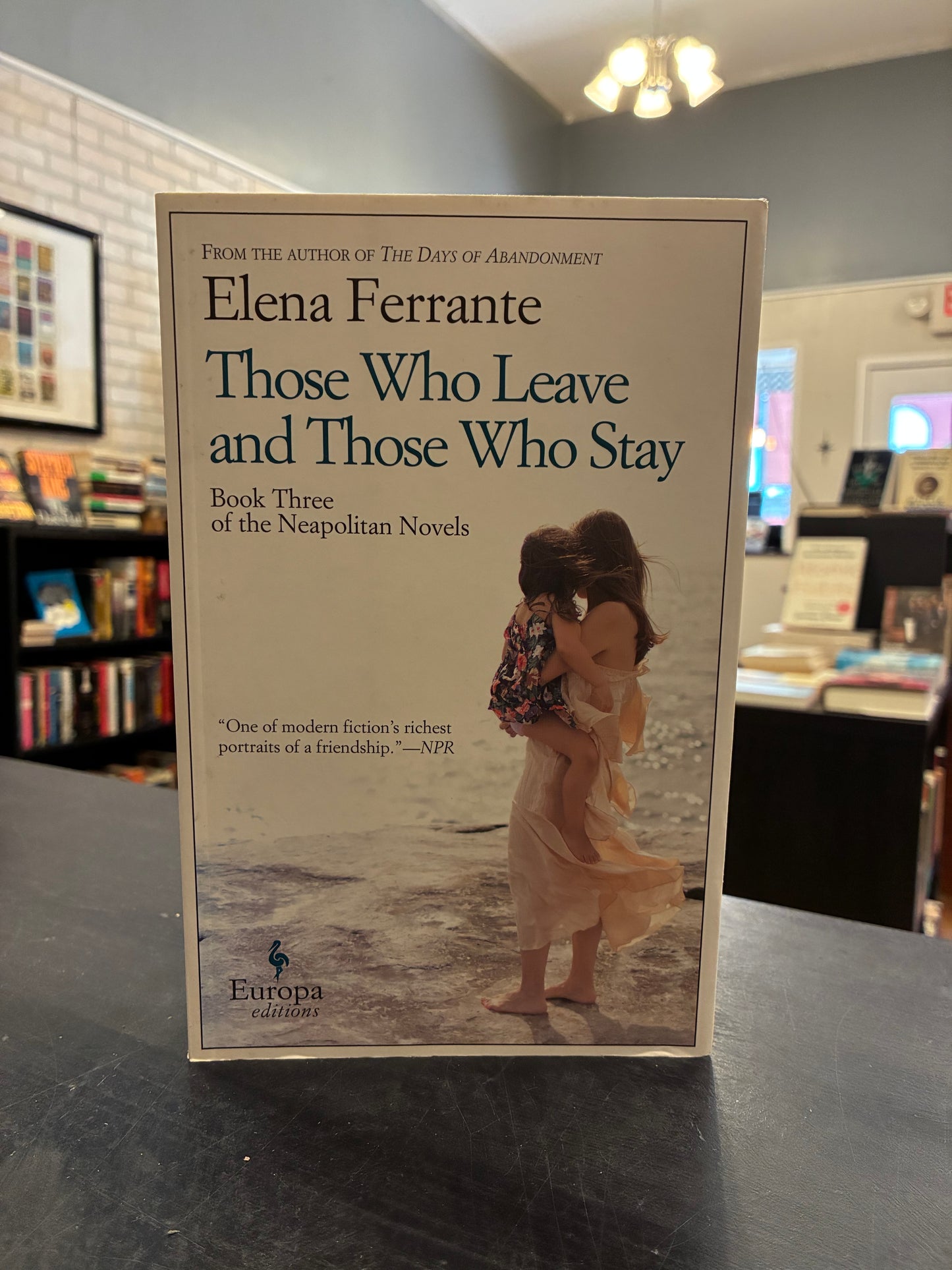 Those Who Love and Those Who Stay - Elena Ferrante