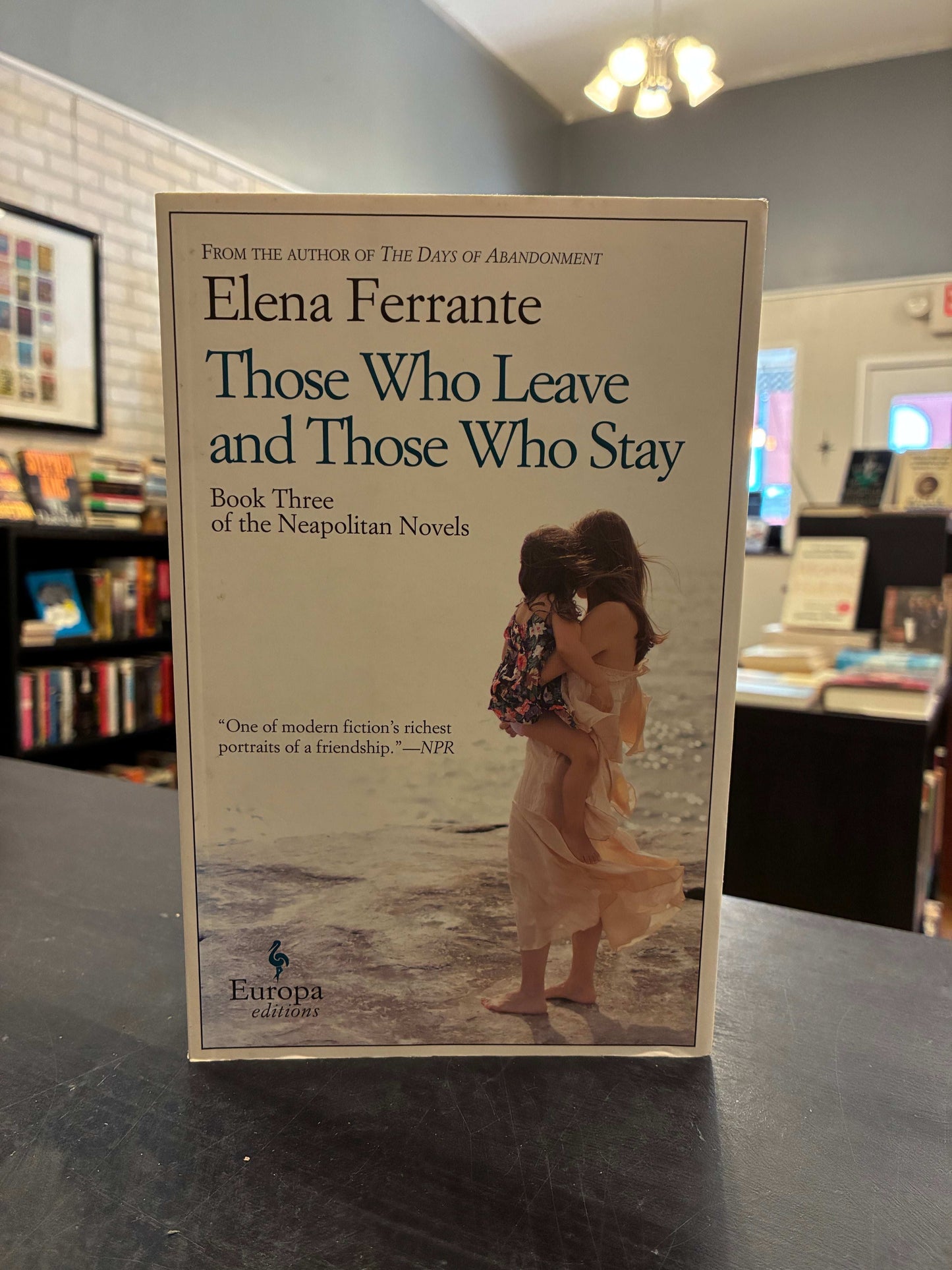 Those Who Love and Those Who Stay - Elena Ferrante
