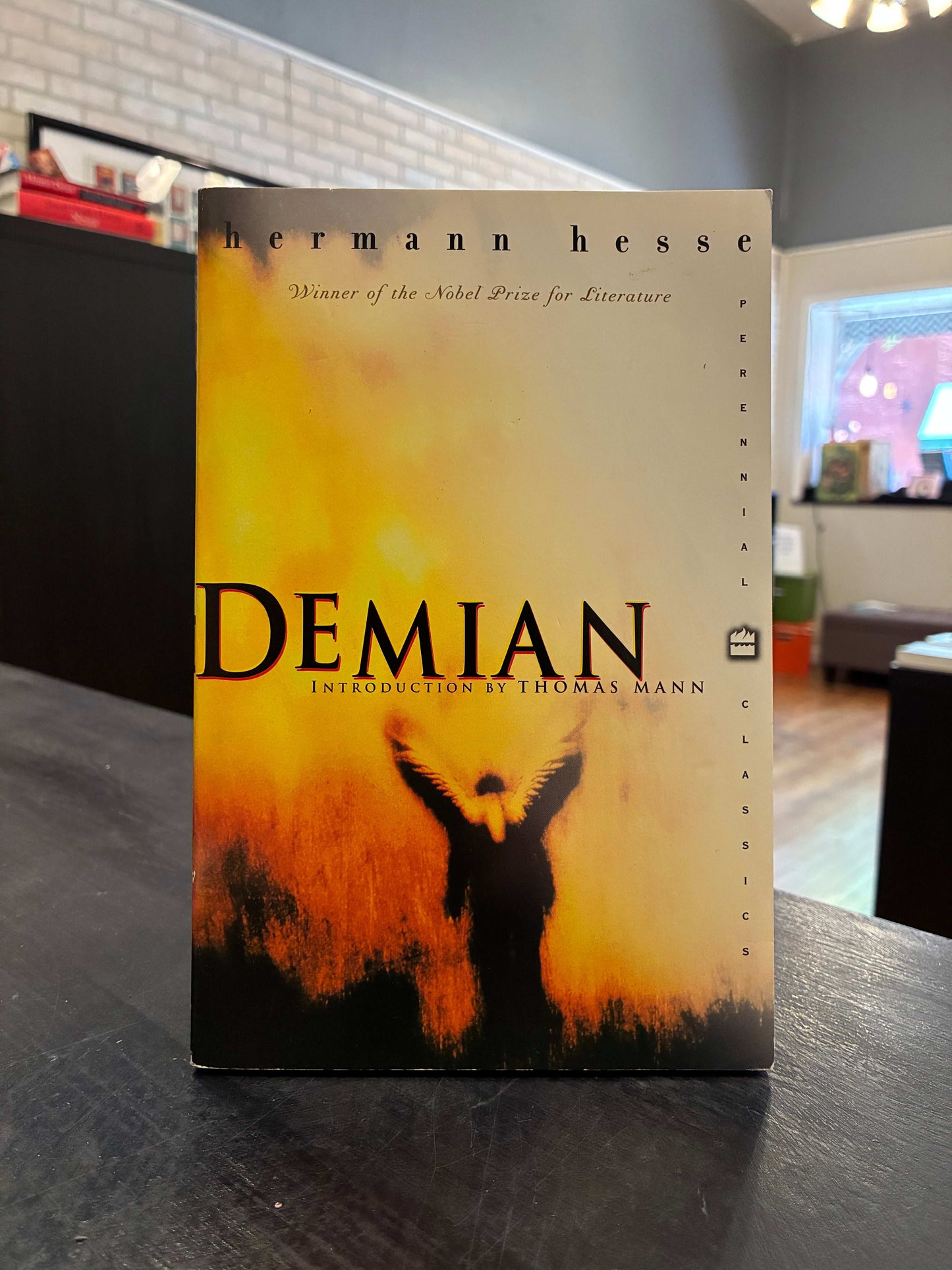Demian - Hermann Hesse