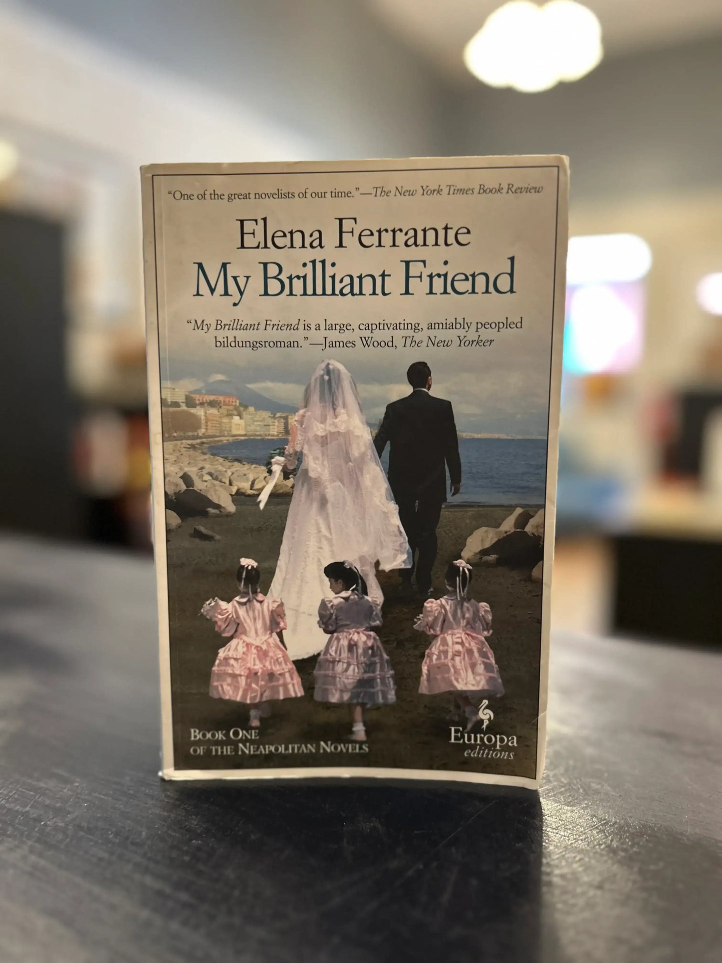 My Brilliant Friend - Elena Ferrante