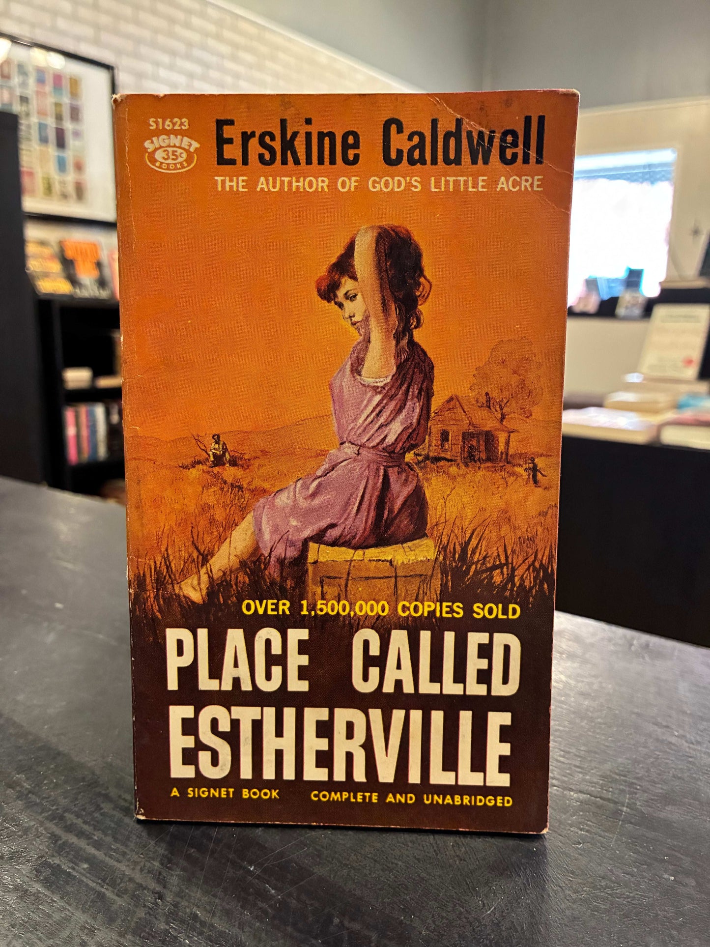 Place Called Estherville - Erskine Caldwell