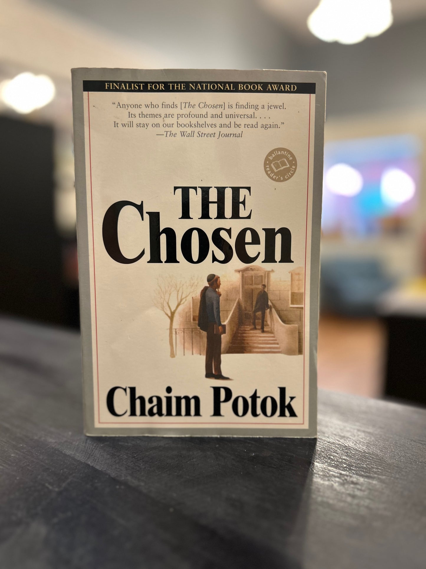 The Chosen - Chaim Potok